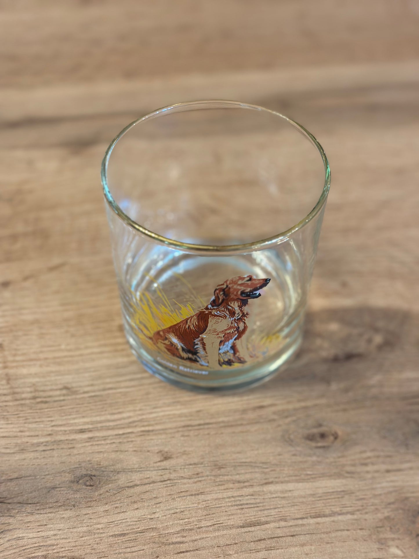 Vintage Bird Dog Whiskey Glasses