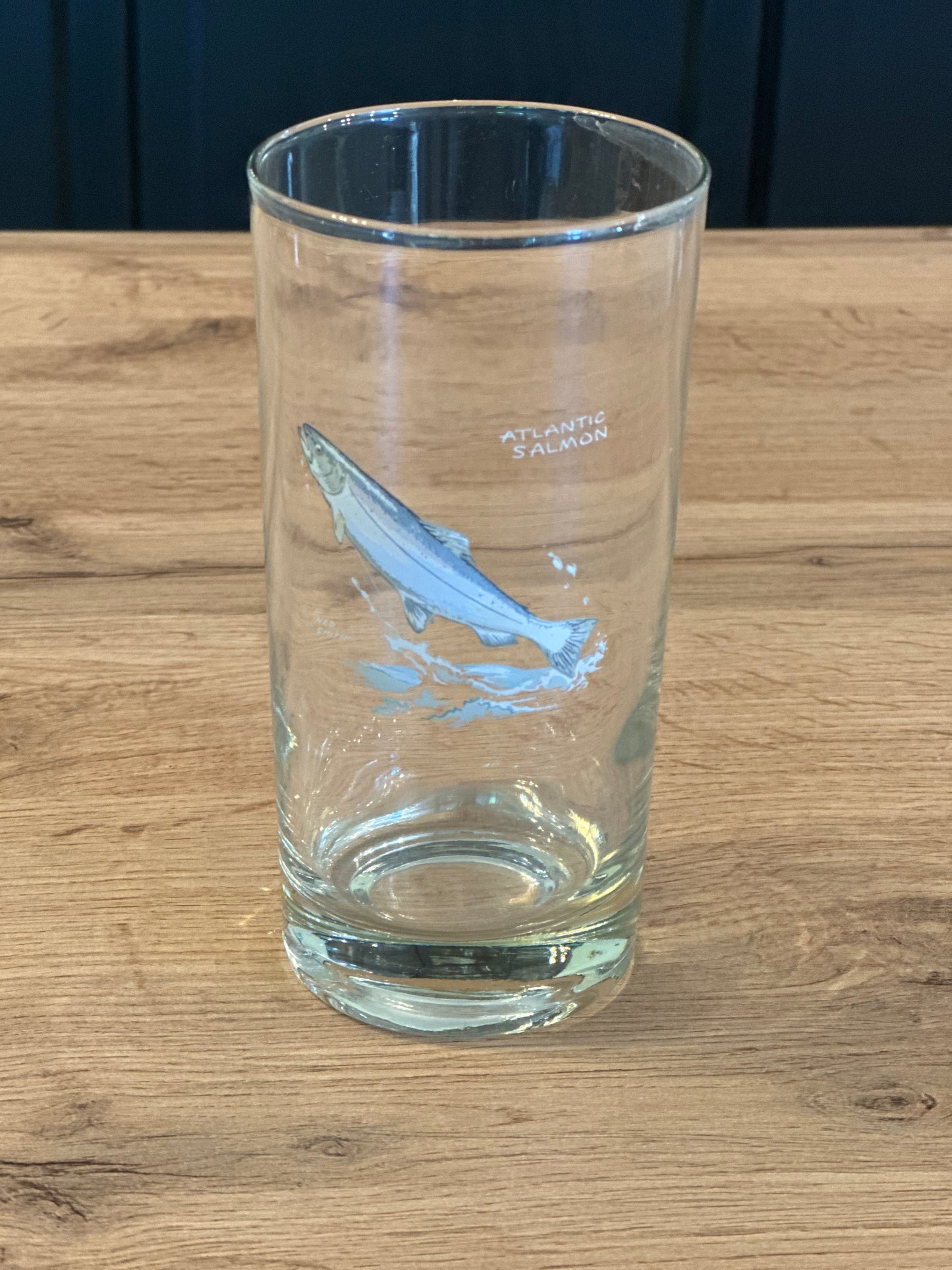 Vintage Ned Smith Highball Glasses (Set of 6) Trout Fish Series
