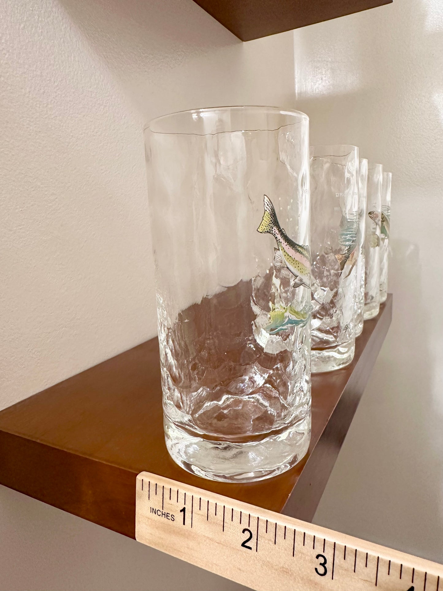 RARE 🥃 Vintage Ned Smith “Game Fish” Collins Glasses - Mid-Century Barware (Set of 5)