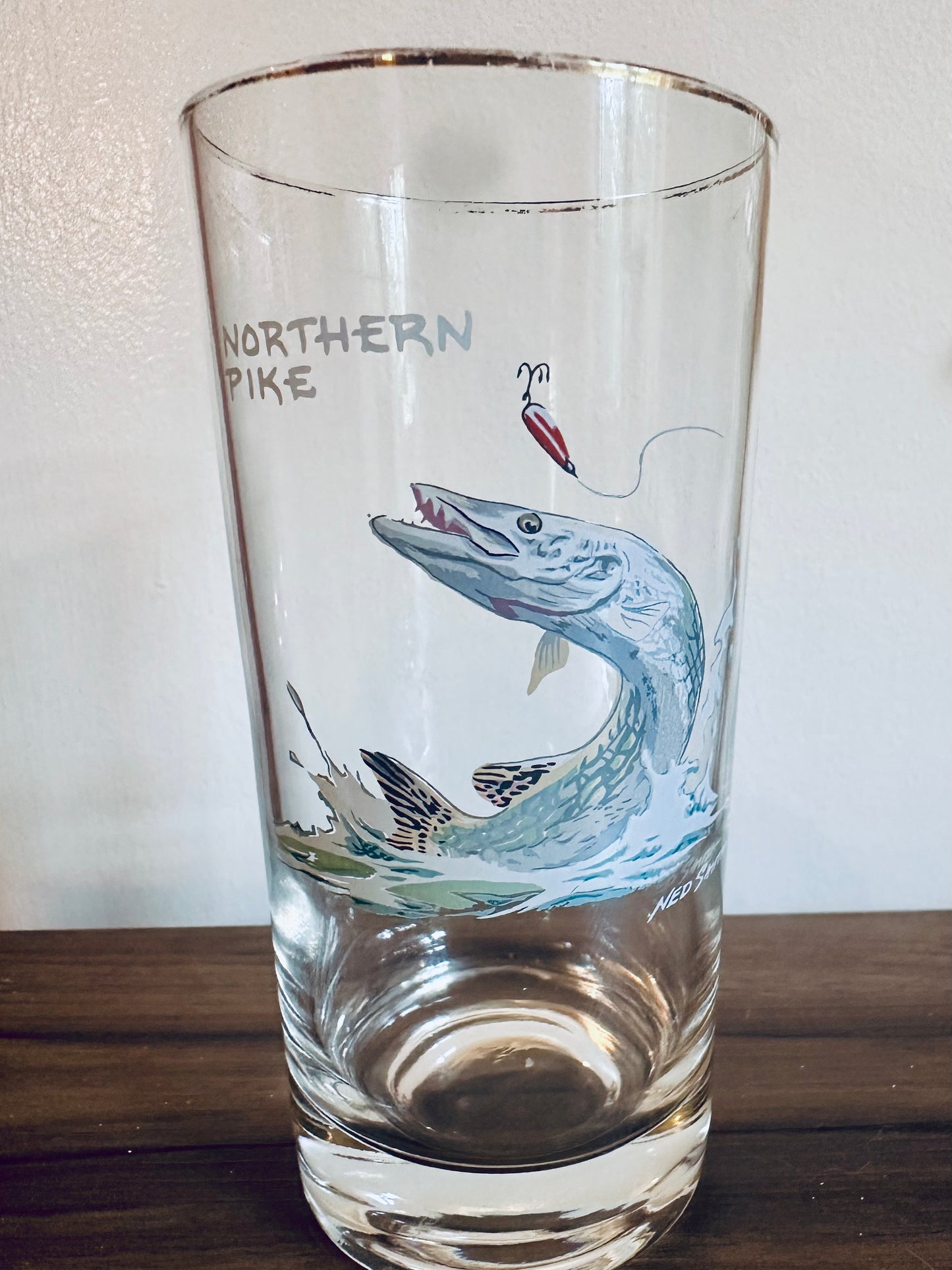 Vintage 1970s Orvis Ned Smith Highball Tumblers Game Fish (set of 7)
