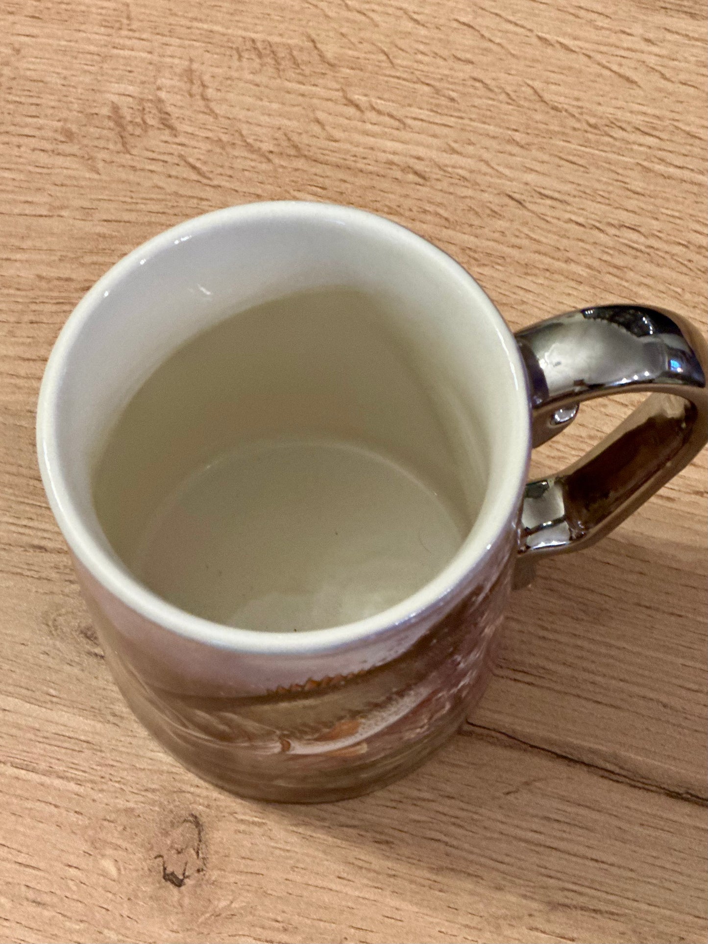 Vintage Rivers Edge Mug with Bass Fishing Scene with Silver Handle