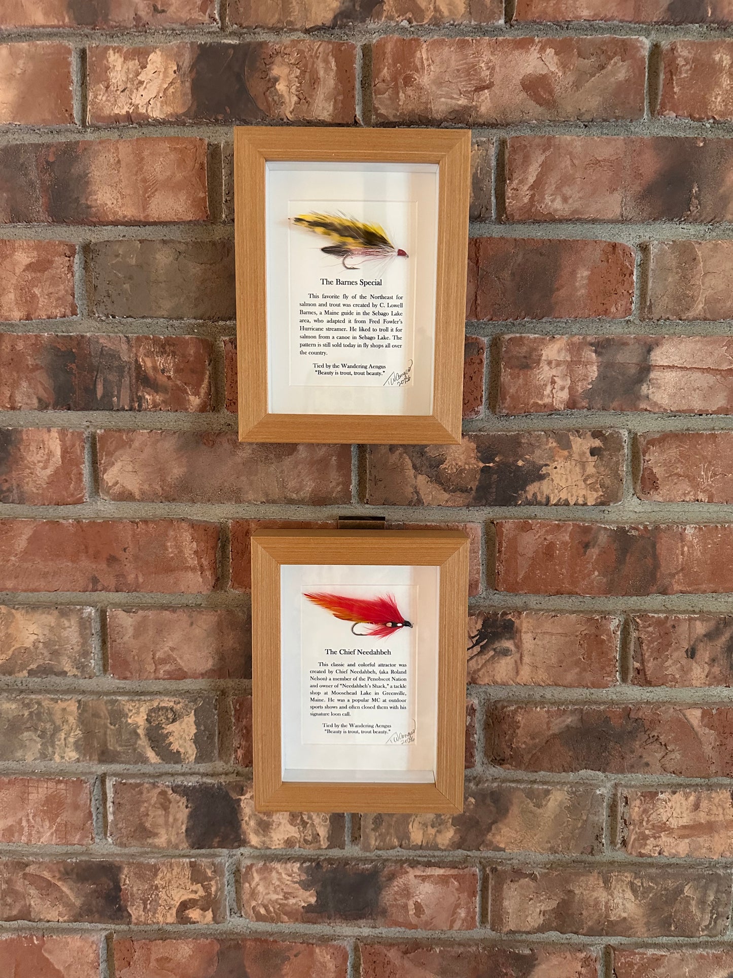 Shadowbox Flies Set - The Wandering Aengus