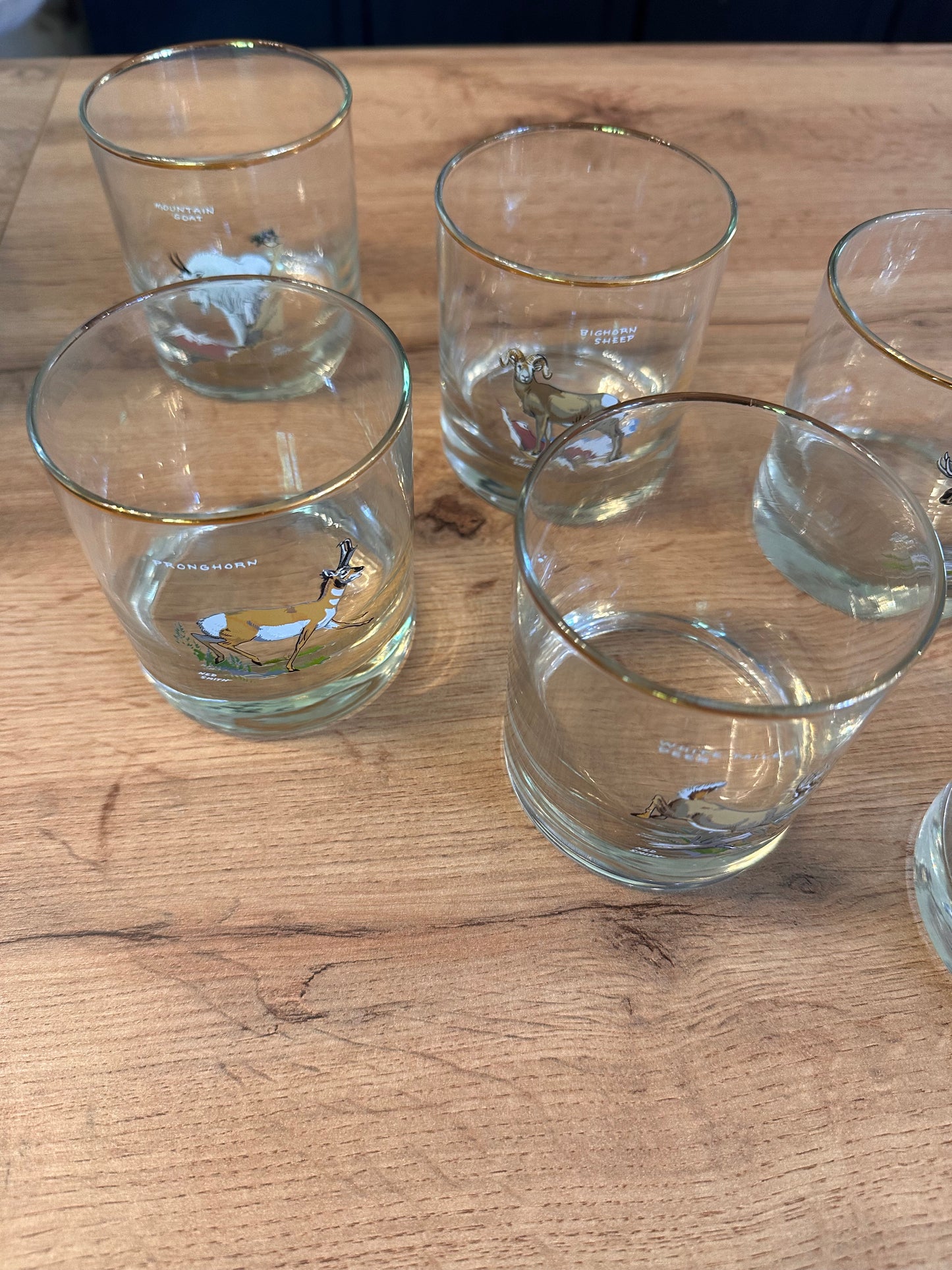 Vintage 🥃 Rare Complete Set Ned Smith “Big Game” Whiskey Glasses (Set of 8) Mint Condition