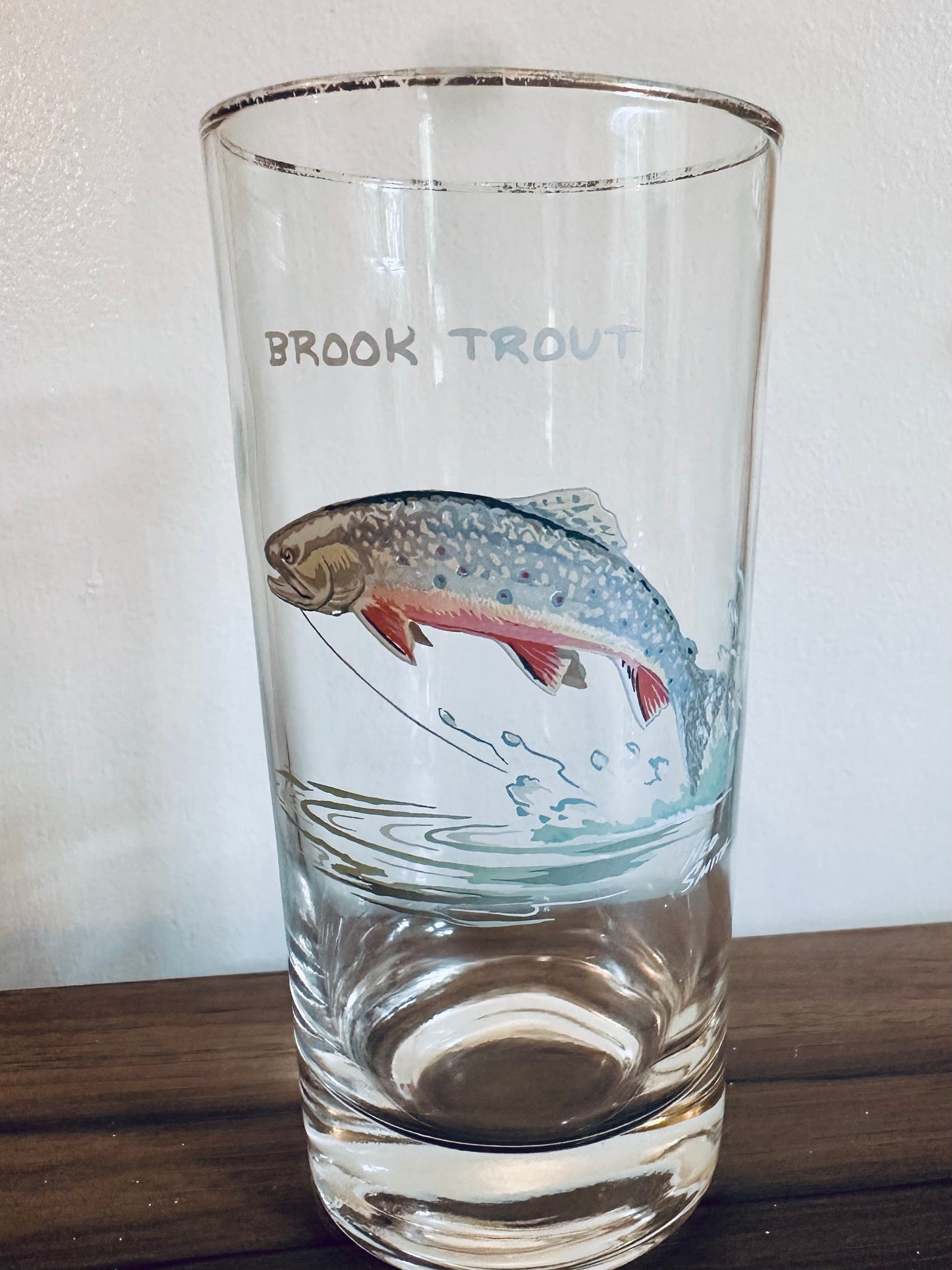 Vintage 1970s Orvis Ned Smith Highball Tumblers Game Fish (set of 7)