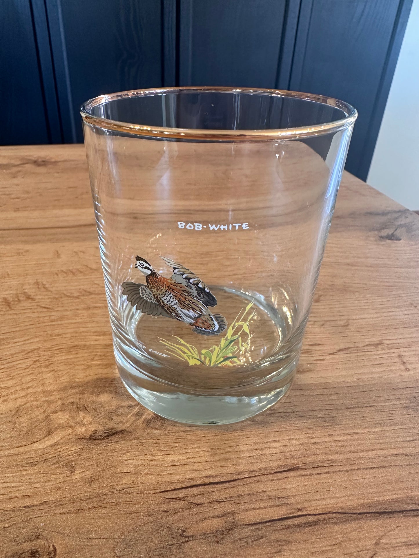 Vintage Ned Smith Game Birds Whiskey Glasses (Set of 5)