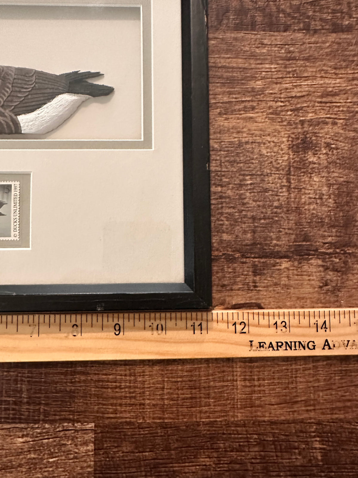 Vintage 1997 Ducks Unlimited Framed 3D Goose and $5 Stamp