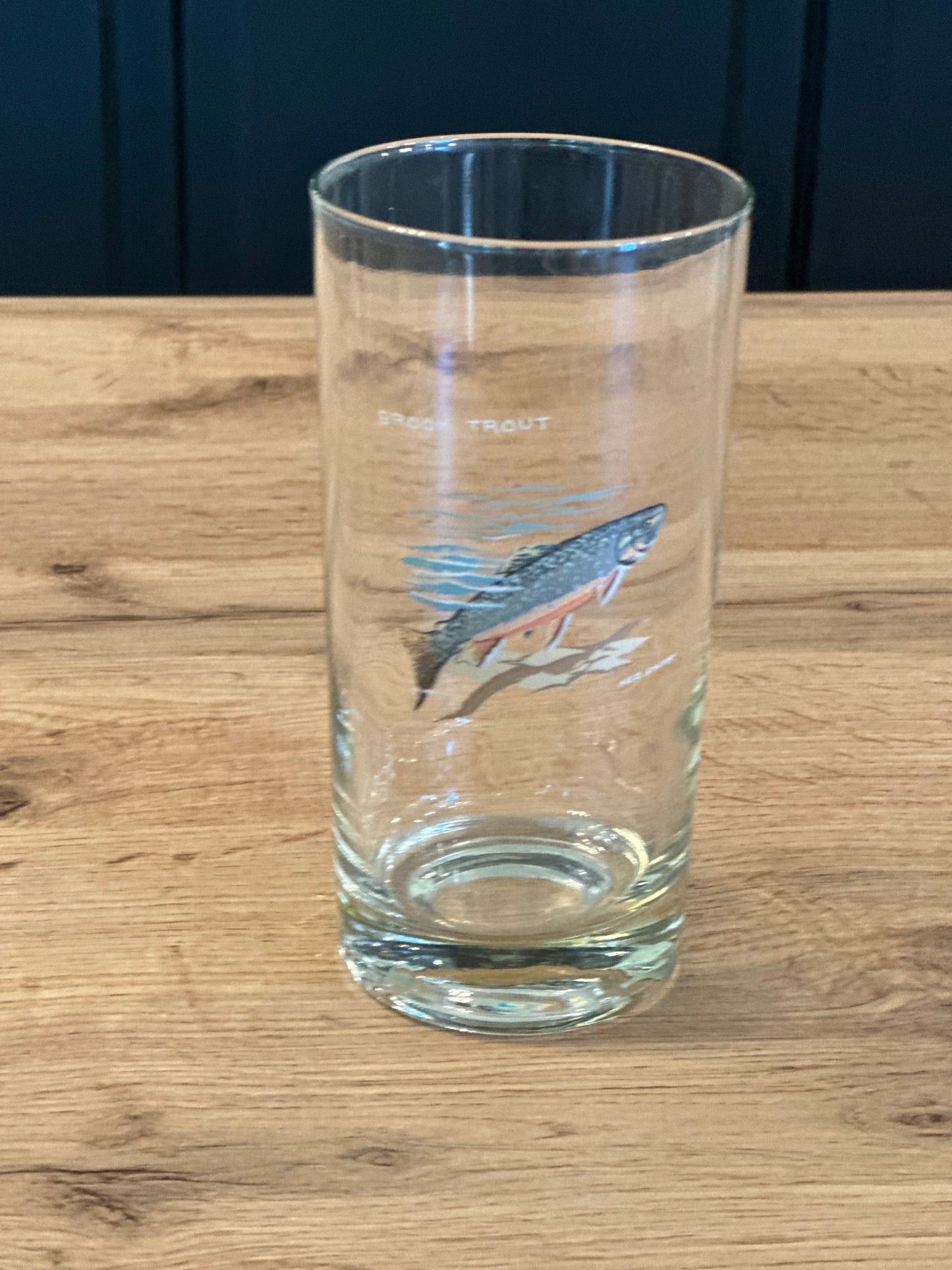 Vintage Ned Smith Highball Glasses (Set of 6) Trout Fish Series