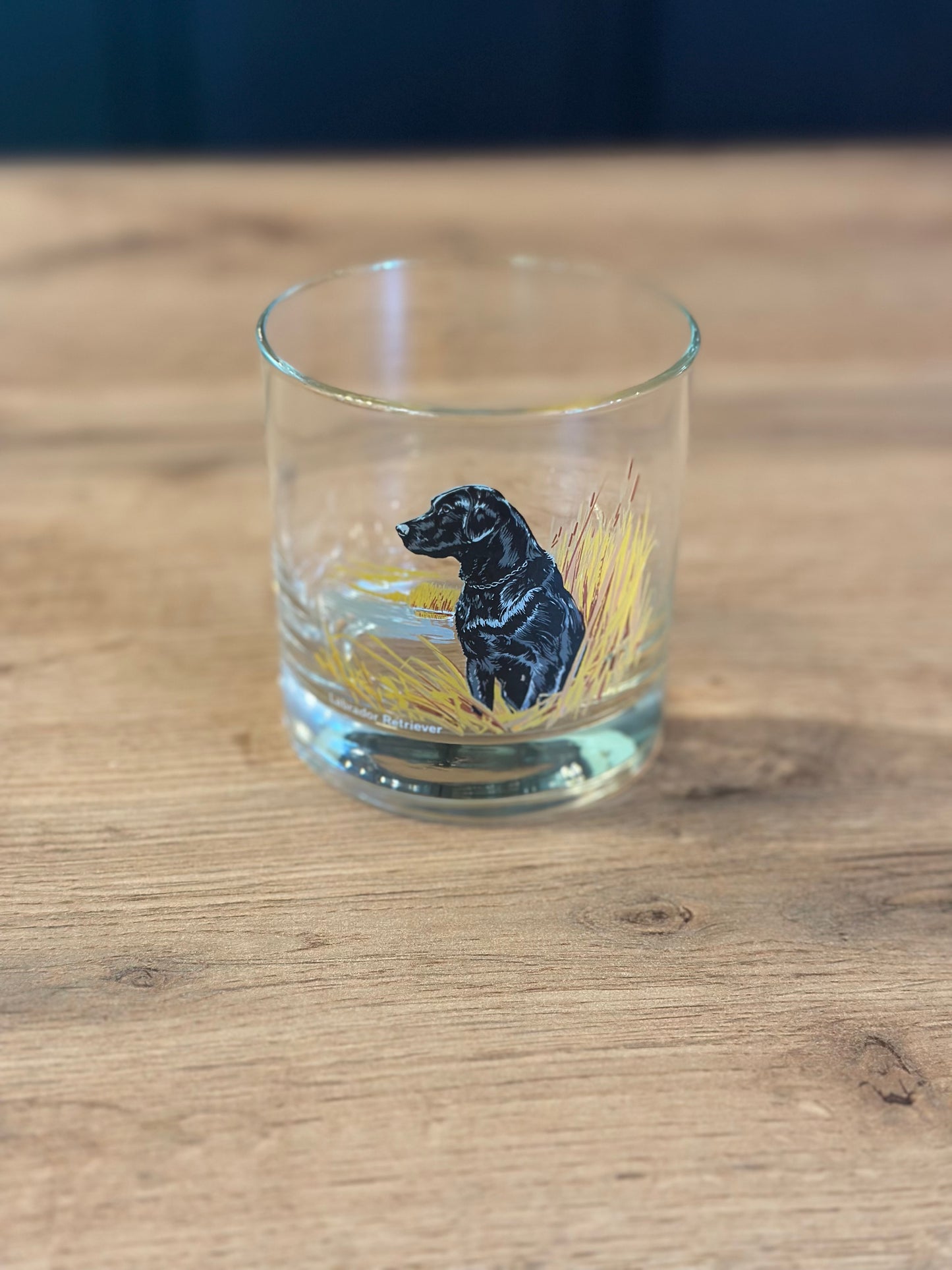 Vintage Bird Dog Whiskey Glasses