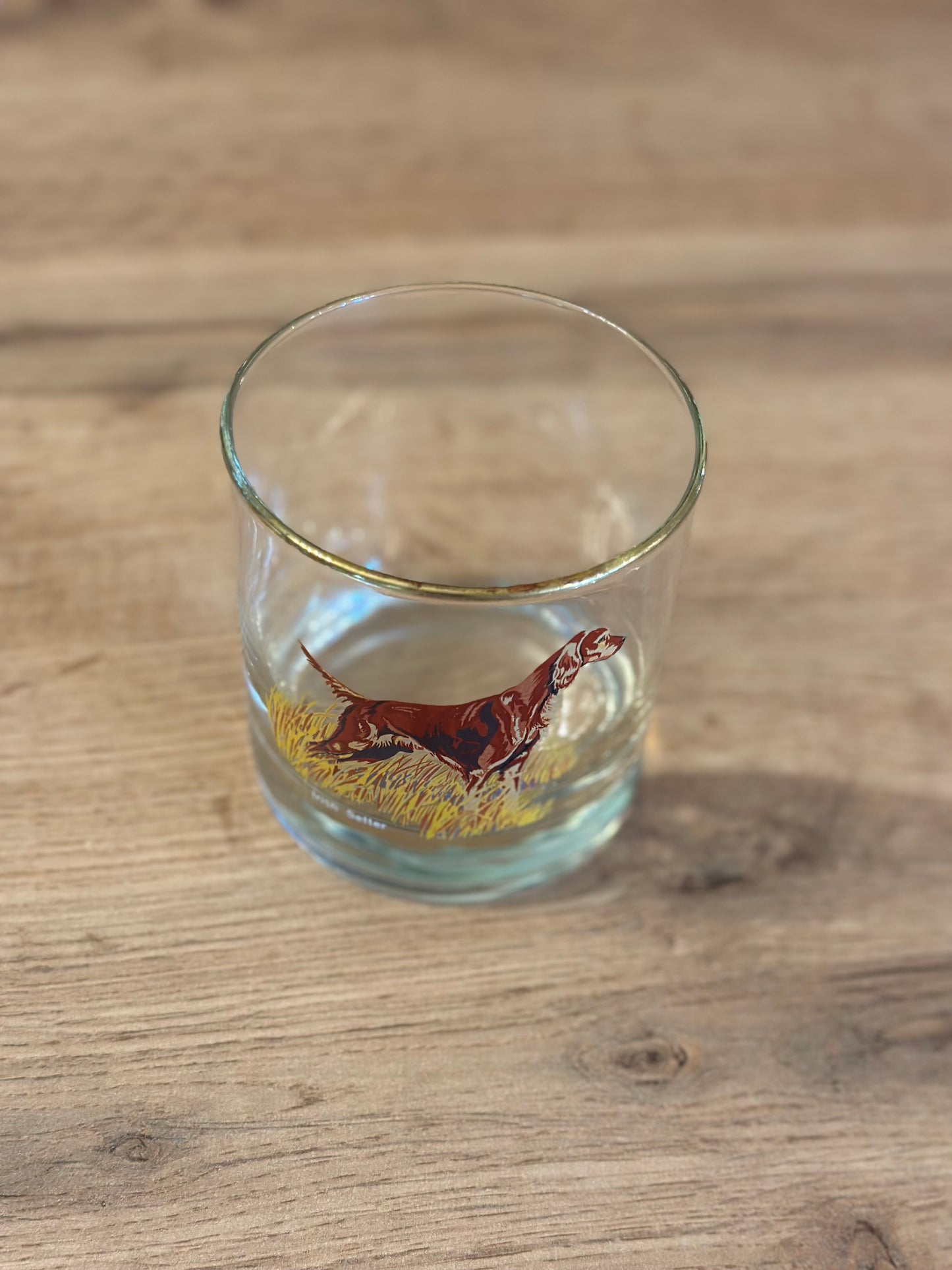 Vintage Bird Dog Whiskey Glasses