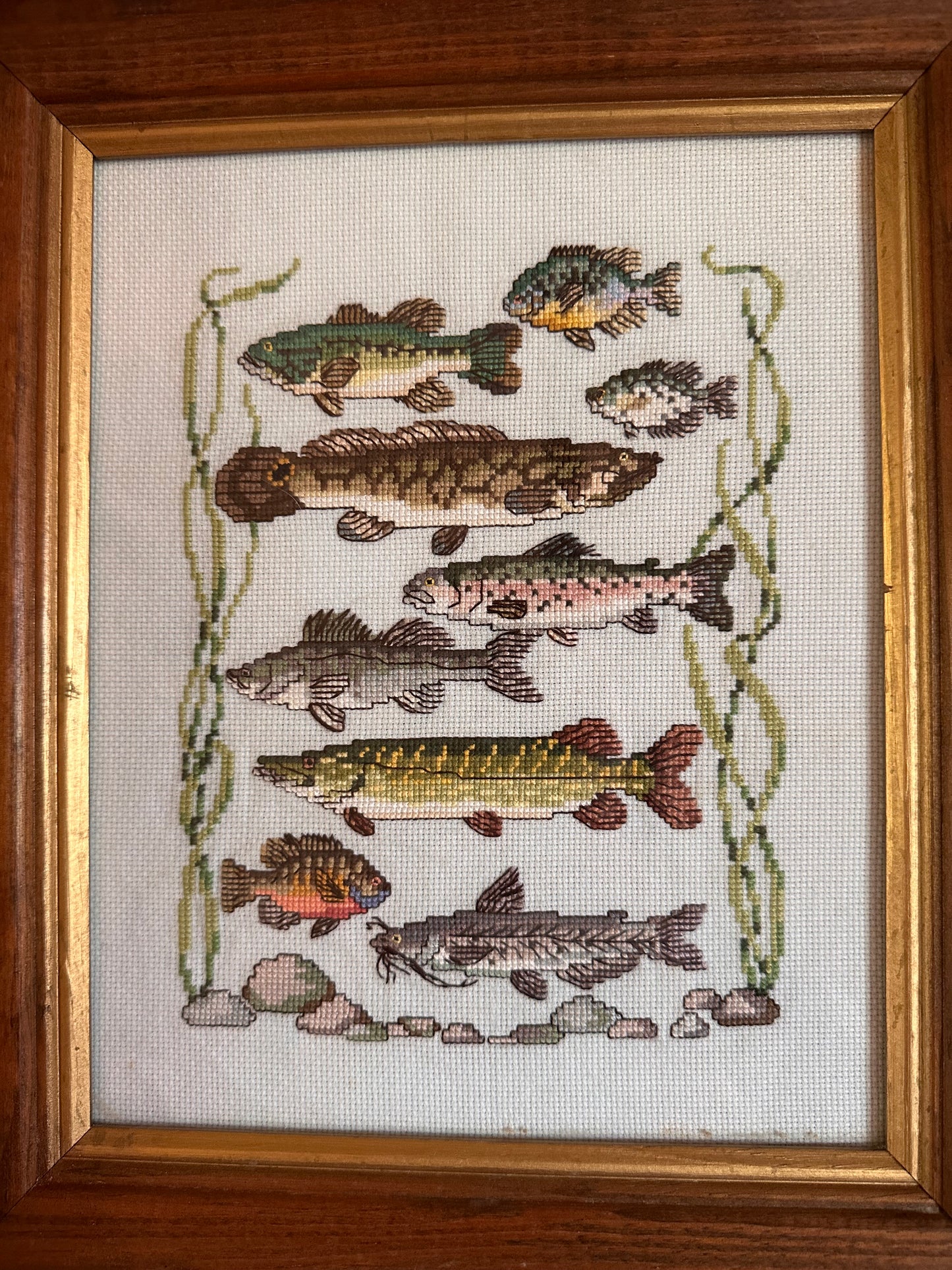 Vintage Framed Cross Stitch Freshwater Fish 12”x14” Gold Inner Frame on Wood