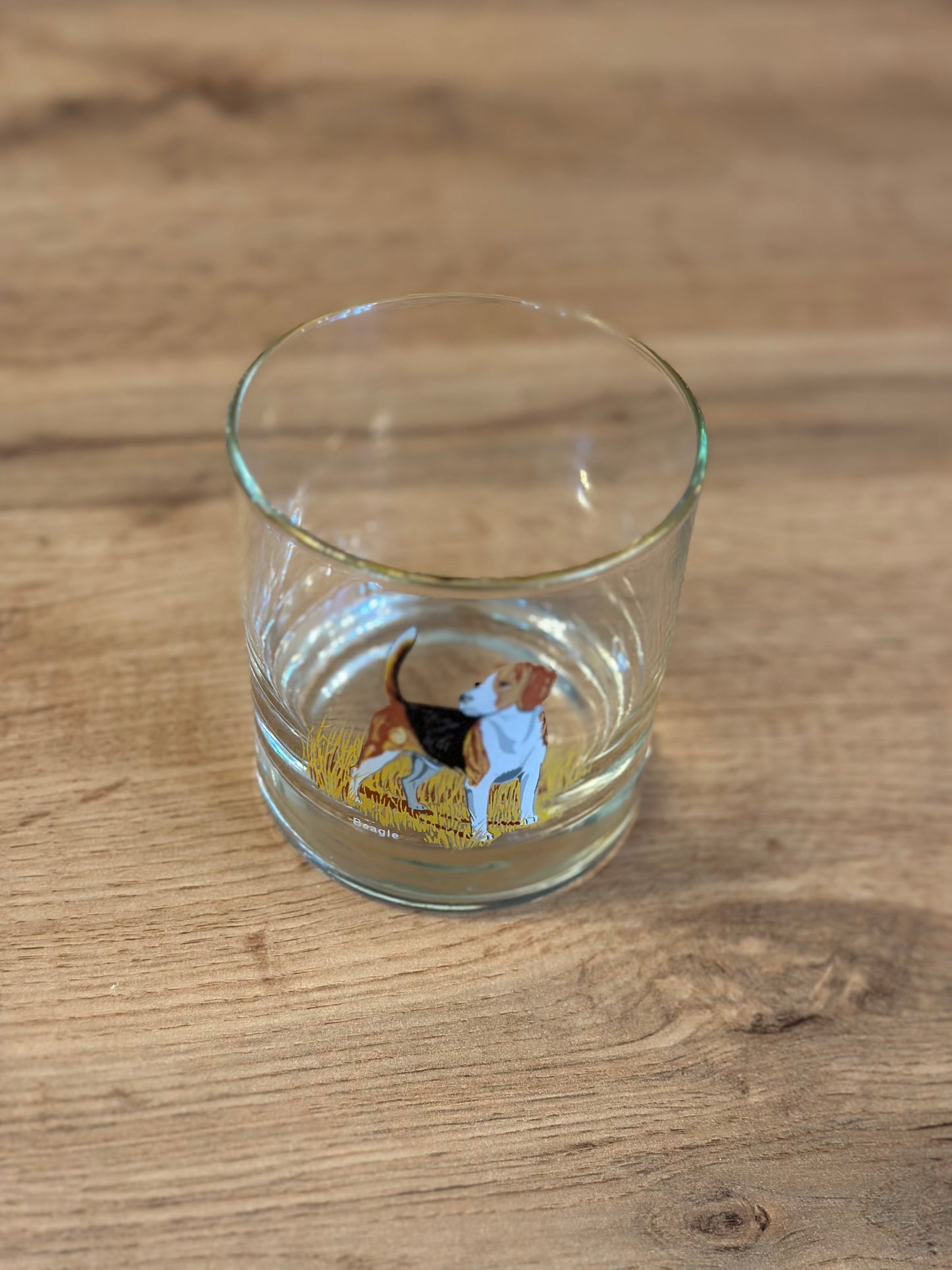 Vintage Bird Dog Whiskey Glasses
