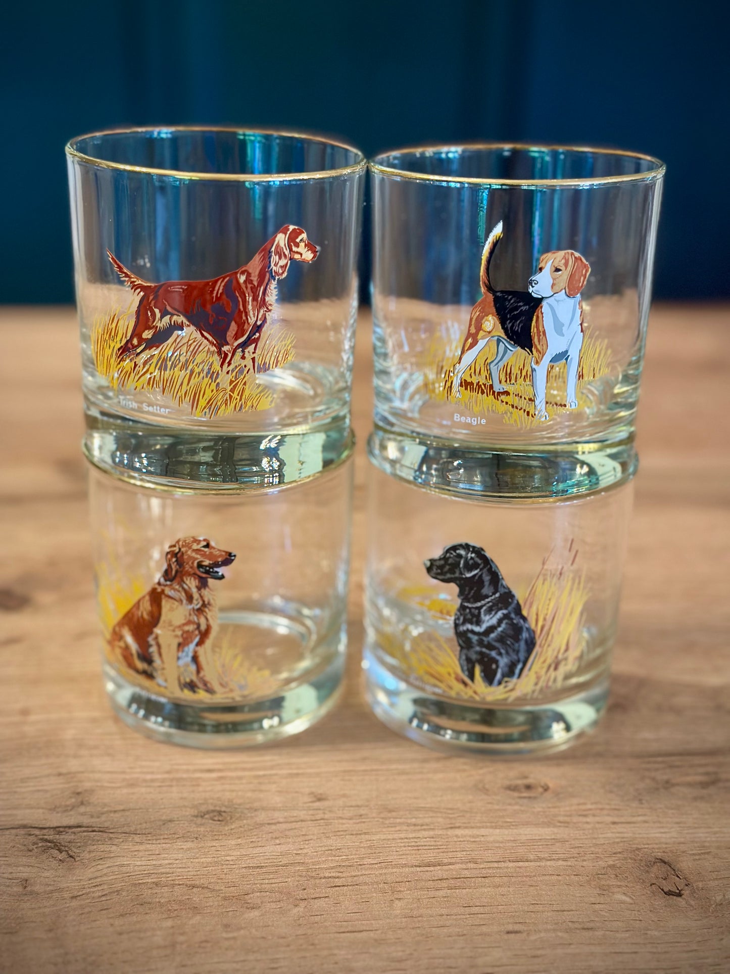Vintage Bird Dog Whiskey Glasses