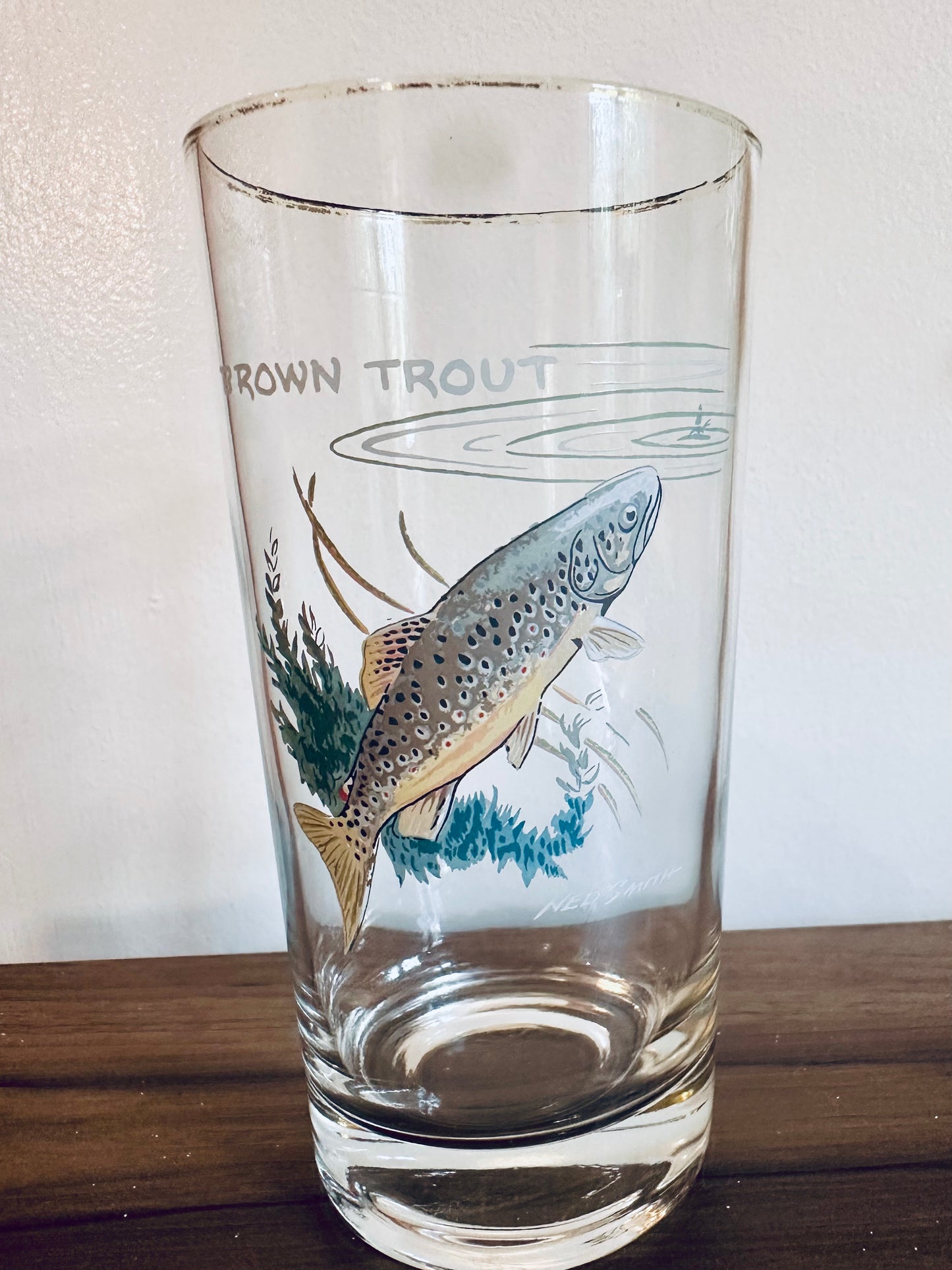 Vintage 1970s Orvis Ned Smith Highball Tumblers Game Fish (set of 7)