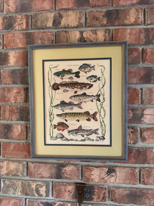 Vintage Cross Stitch Freshwater Fish Matted Frame 16”x13”