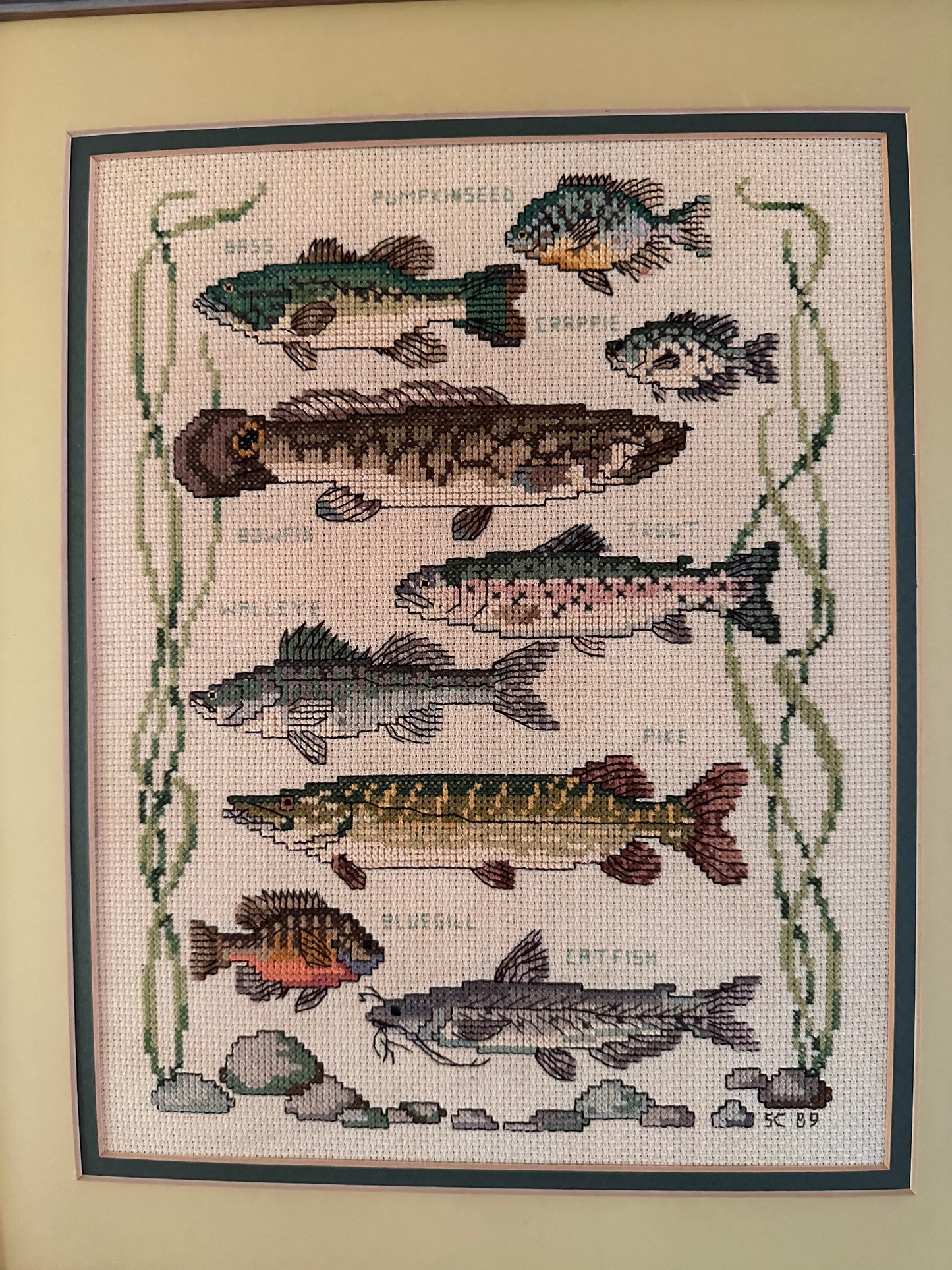 Vintage Cross Stitch Freshwater Fish Matted Frame 16”x13”