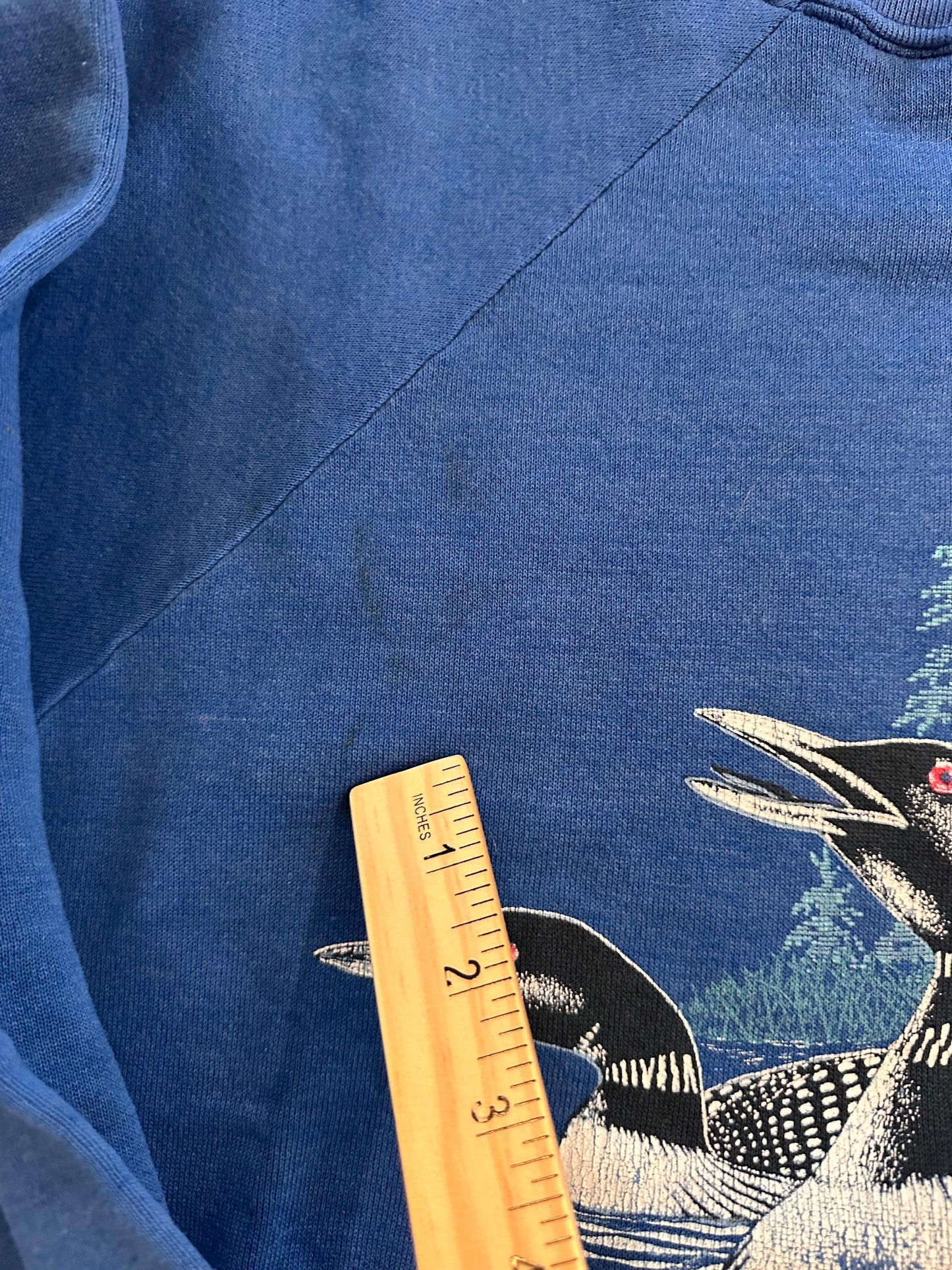 VTG Signal Crewneck (XL) Loon Scene