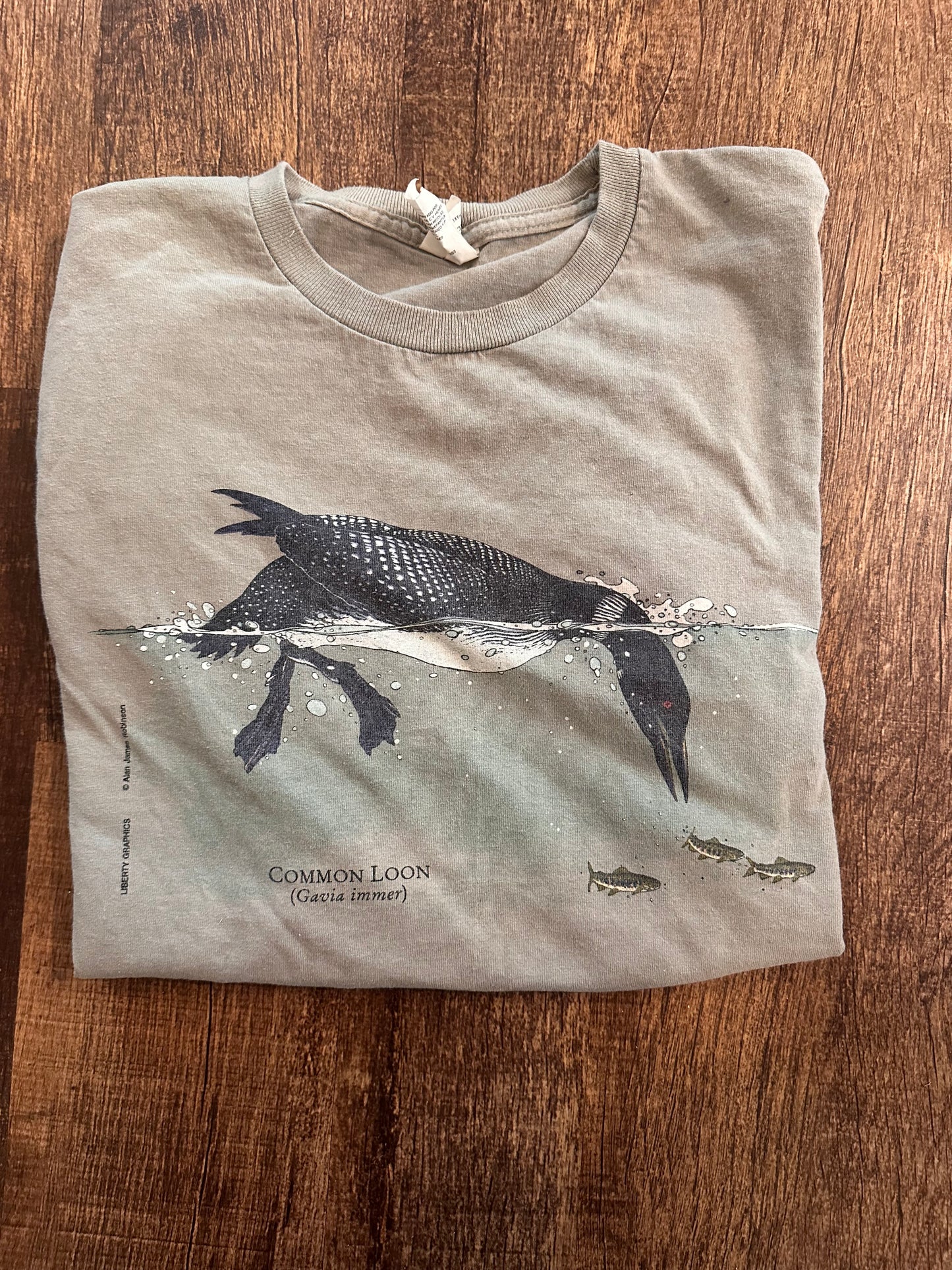 VTG Hanes Tee (S) Common Loon Graphic Art - Gray
