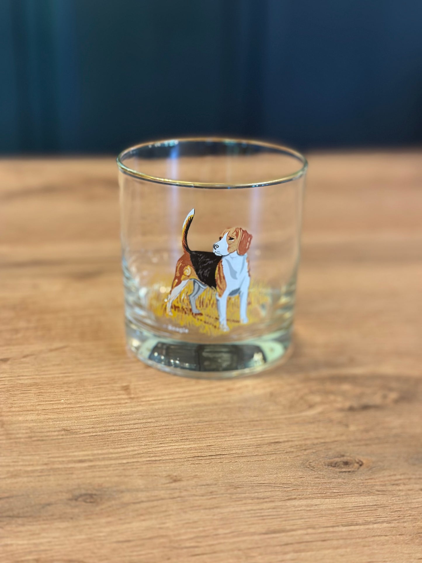 Vintage Bird Dog Whiskey Glasses