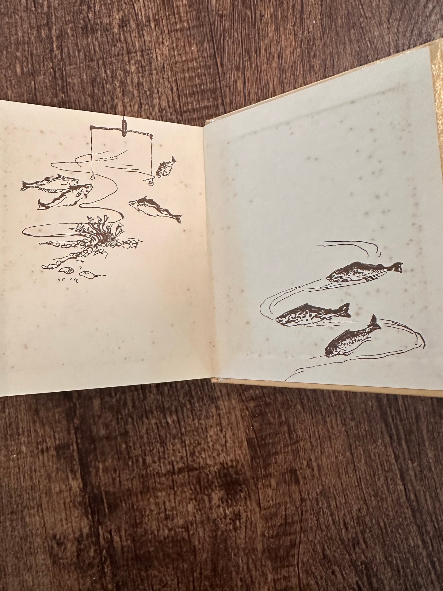 Vintage Muriel Foster Book: Days on Sea, Loch and River