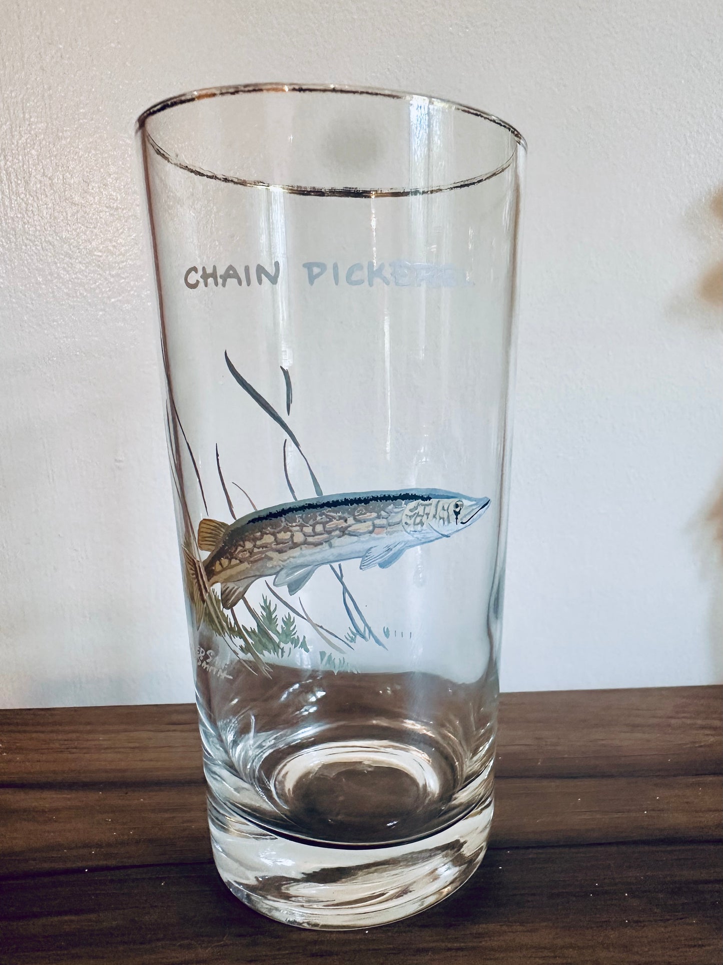 Vintage 1970s Orvis Ned Smith Highball Tumblers Game Fish (set of 7)
