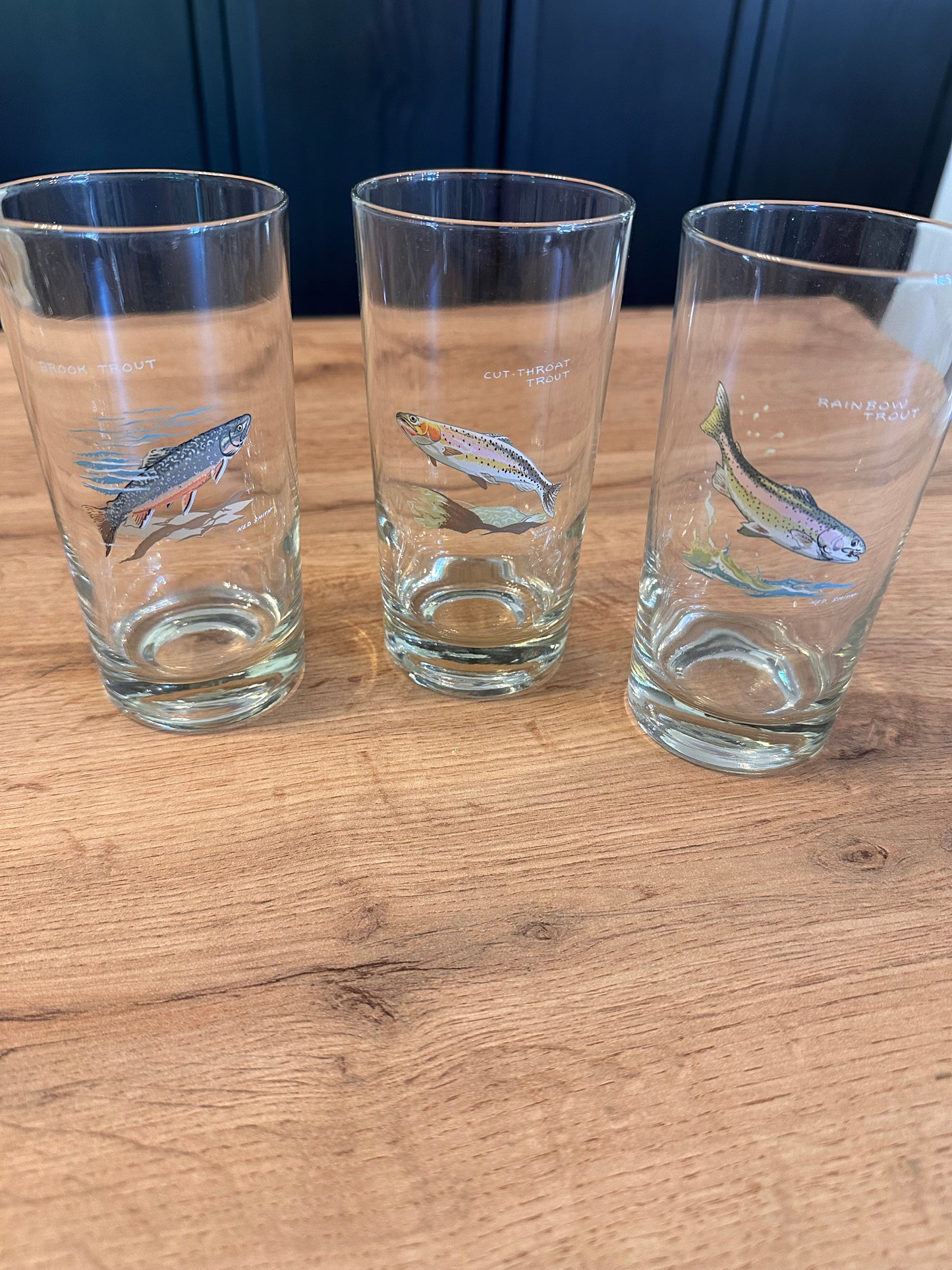 Vintage Ned Smith Highball Glasses (Set of 6) Trout Fish Series