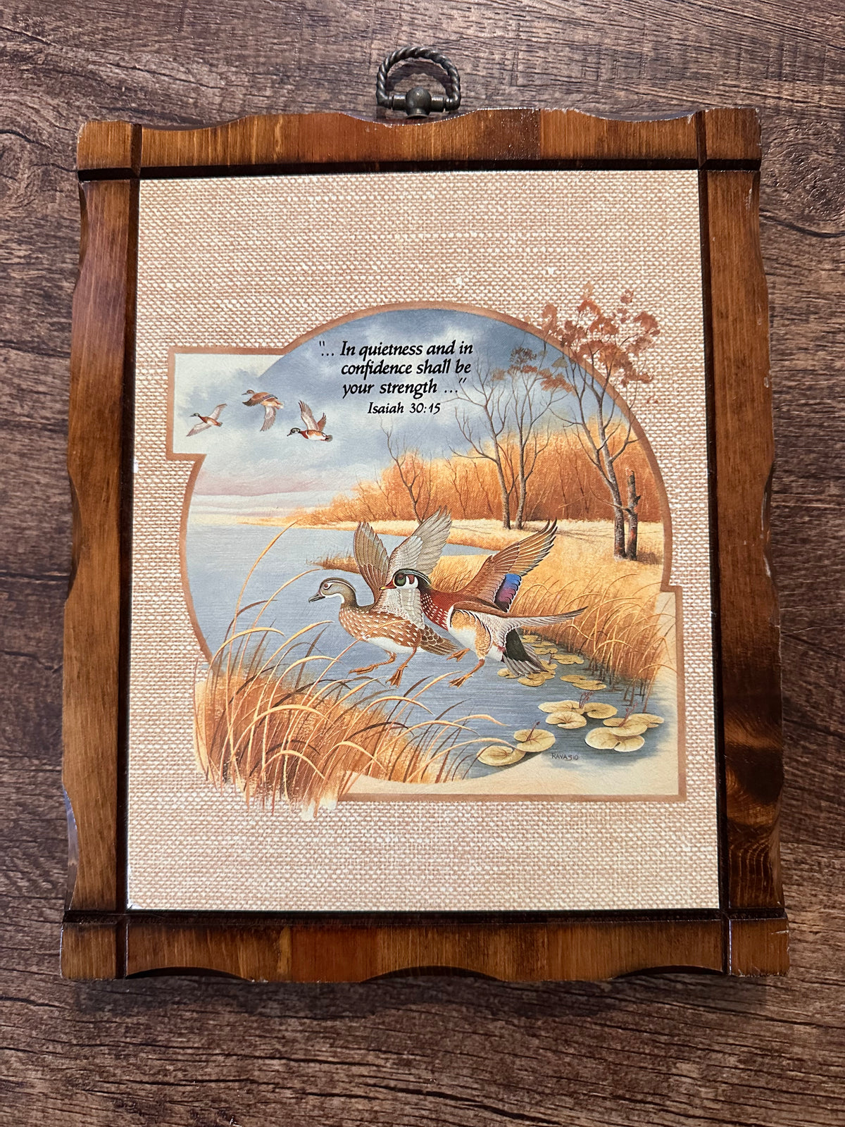 Vintage Wooden Duck Scripture Plaque 11”x9”