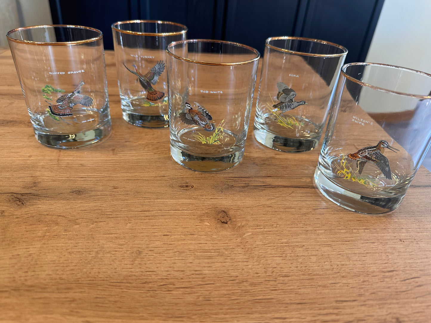 Vintage Ned Smith Game Birds Whiskey Glasses (Set of 5)
