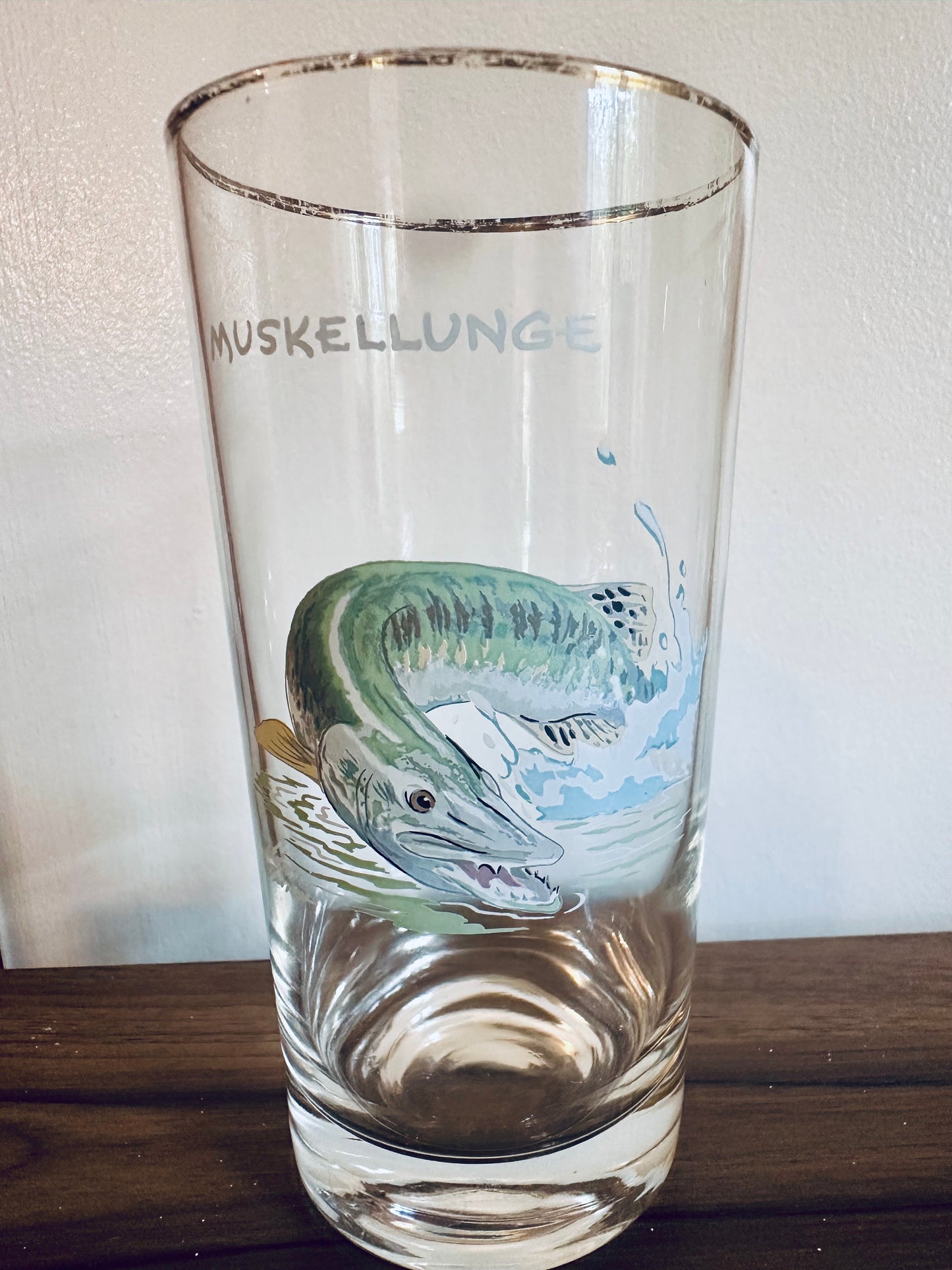 Vintage 1970s Orvis Ned Smith Highball Tumblers Game Fish (set of 7)