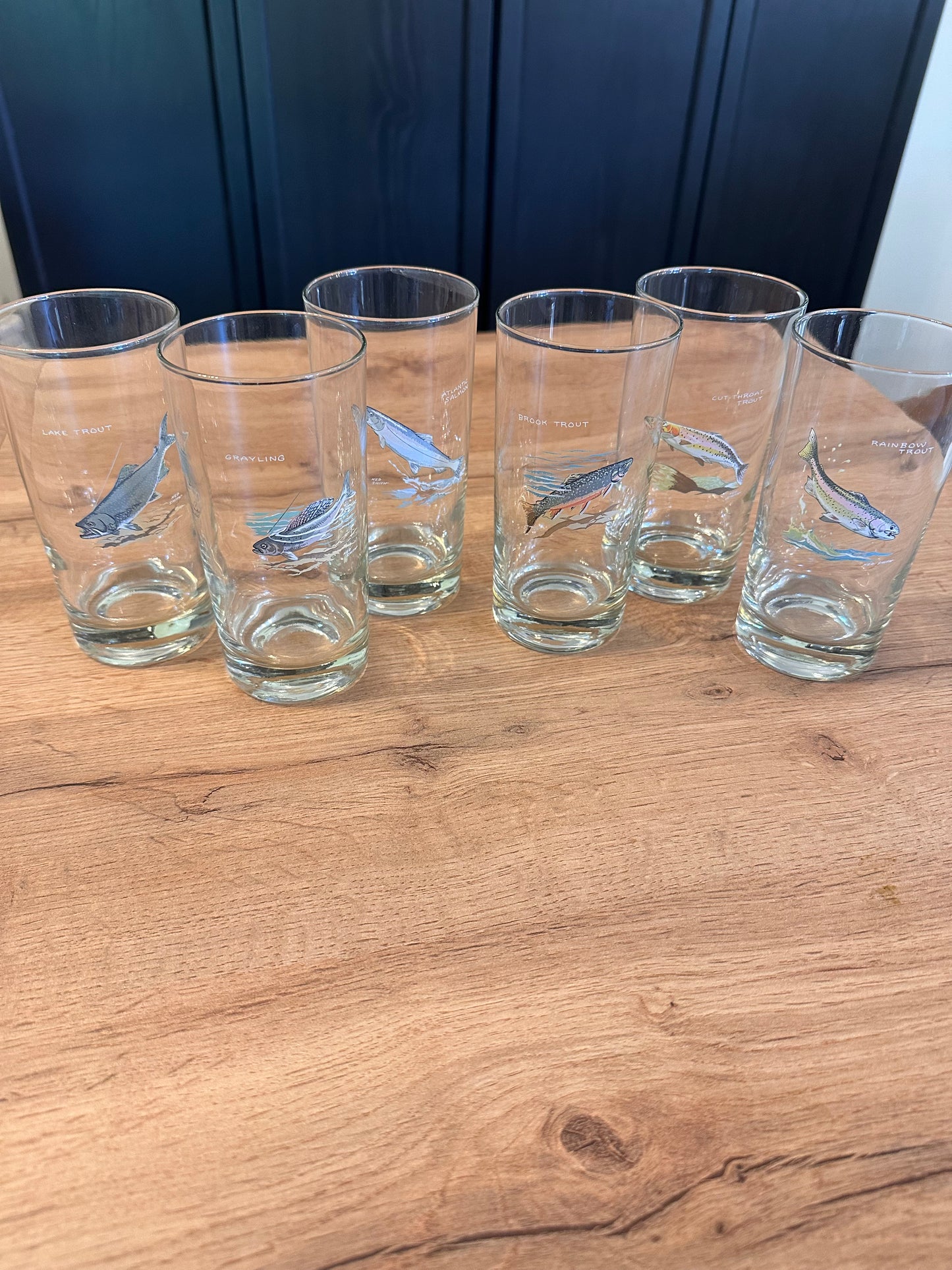 Vintage Ned Smith Highball Glasses (Set of 6) Trout Fish Series