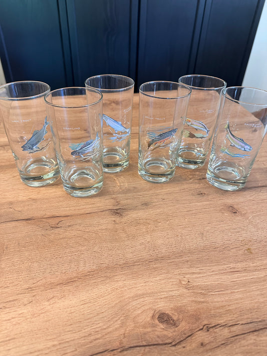 Vintage Ned Smith Highball Glasses (Set of 6) Trout Fish Series