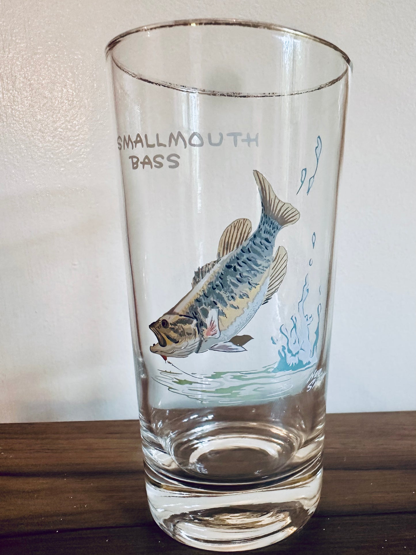 Vintage 1970s Orvis Ned Smith Highball Tumblers Game Fish (set of 7)