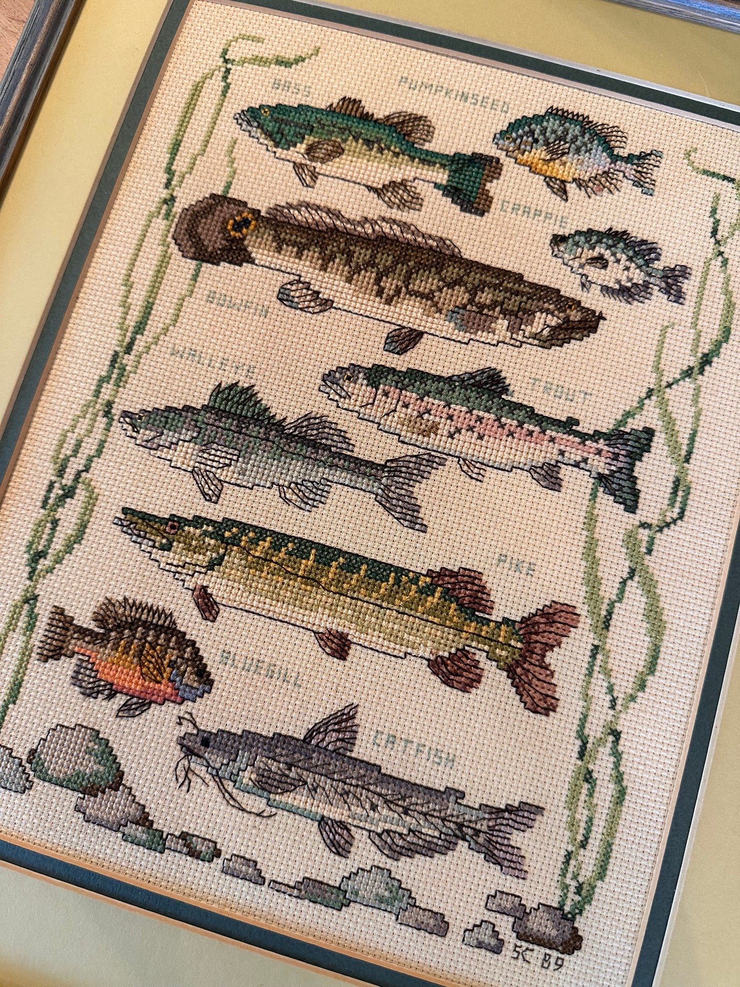 Vintage Cross Stitch Freshwater Fish Matted Frame 16”x13”