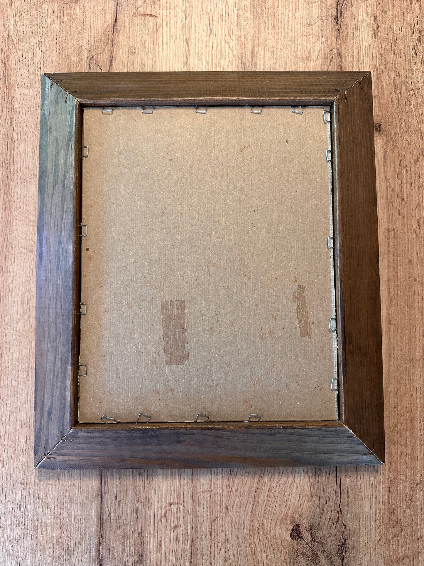 Vintage Framed Cross Stitch Freshwater Fish 12”x14” Gold Inner Frame on Wood
