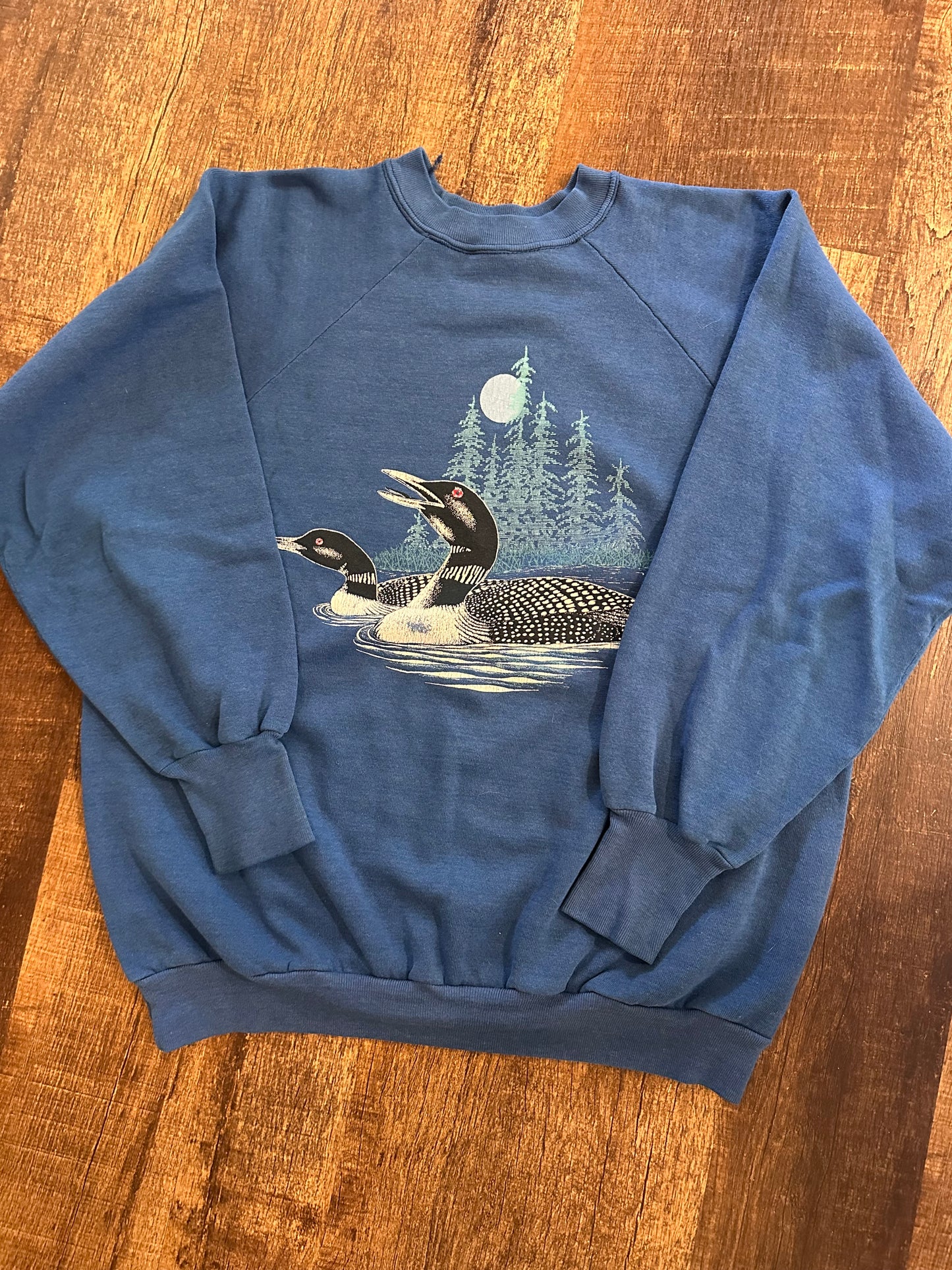 VTG Signal Crewneck (XL) Loon Scene