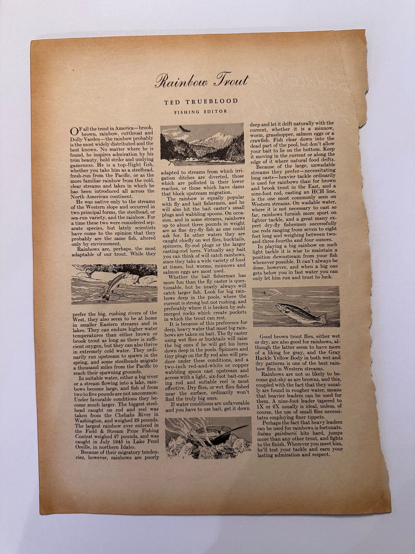 Vintage Framed Art Print from F&S April 1946 Magazine 15”x12”