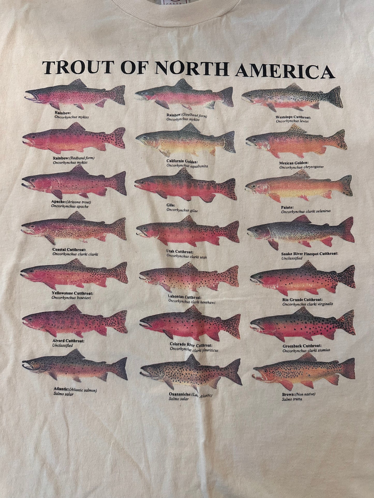 Vintage Orvis Tshirt (XXL) Trout of North America
