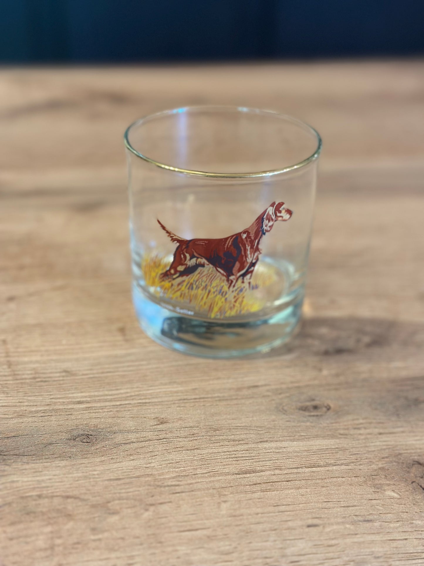 Vintage Bird Dog Whiskey Glasses