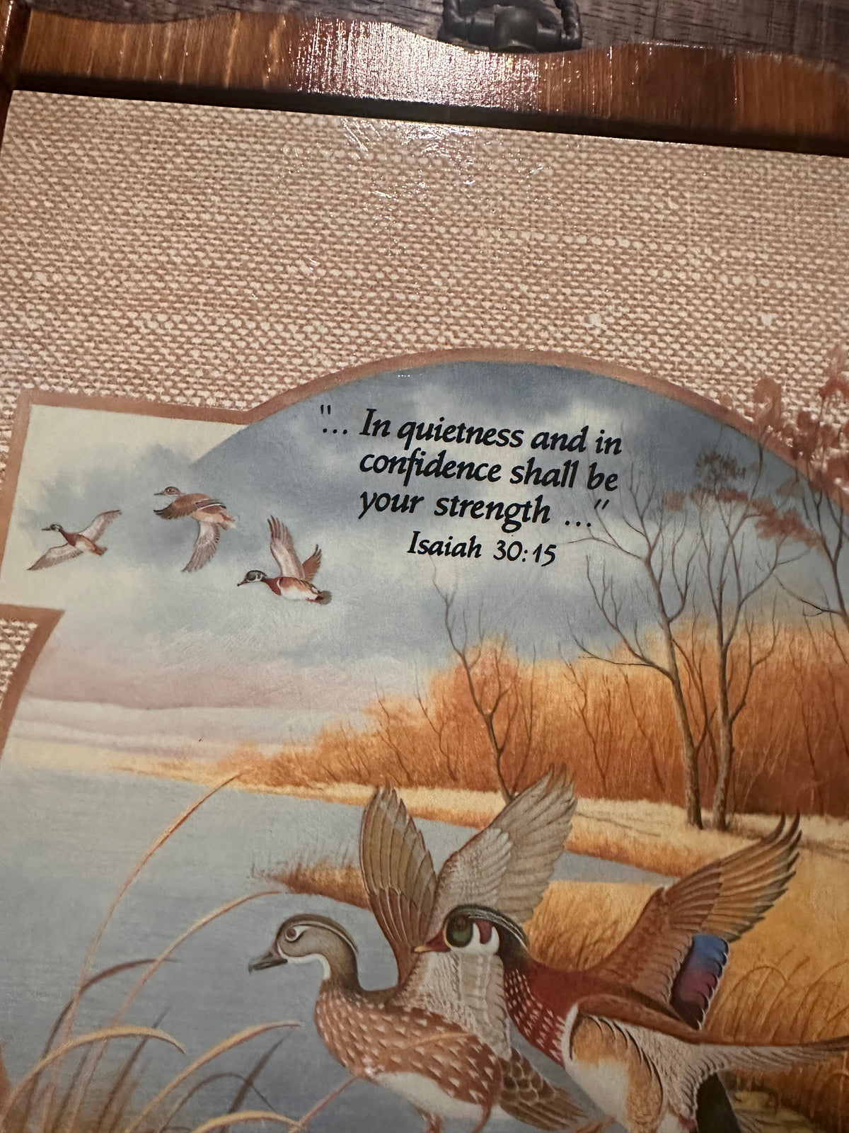 Vintage Wooden Duck Scripture Plaque 11”x9”