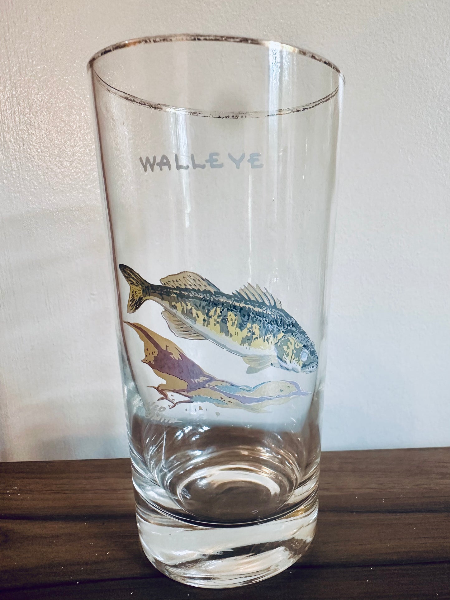 Vintage 1970s Orvis Ned Smith Highball Tumblers Game Fish (set of 7)