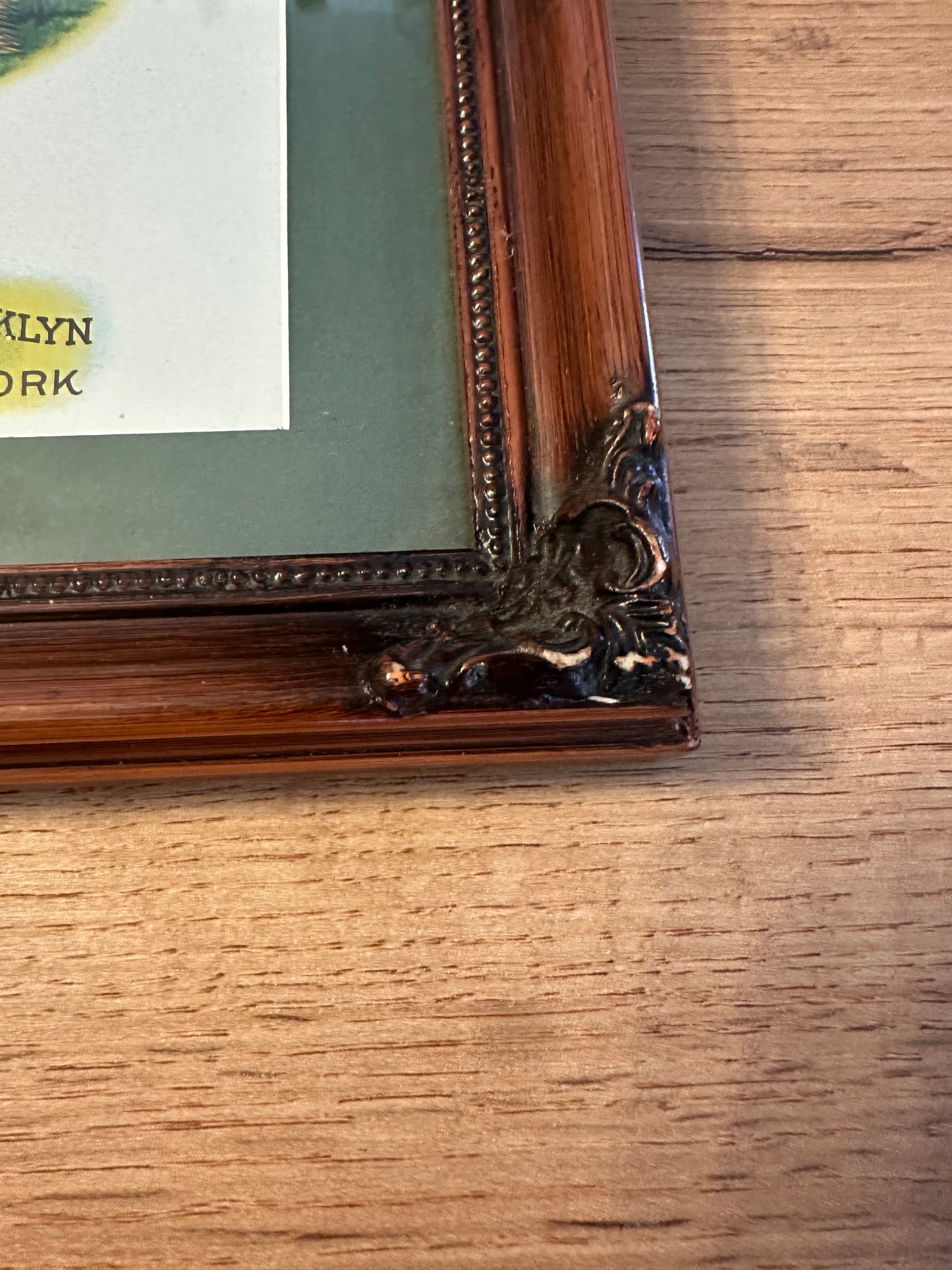 Vintage 1910-1920 Sea Robin Cigar Label Framed - Trout and Fly Rod