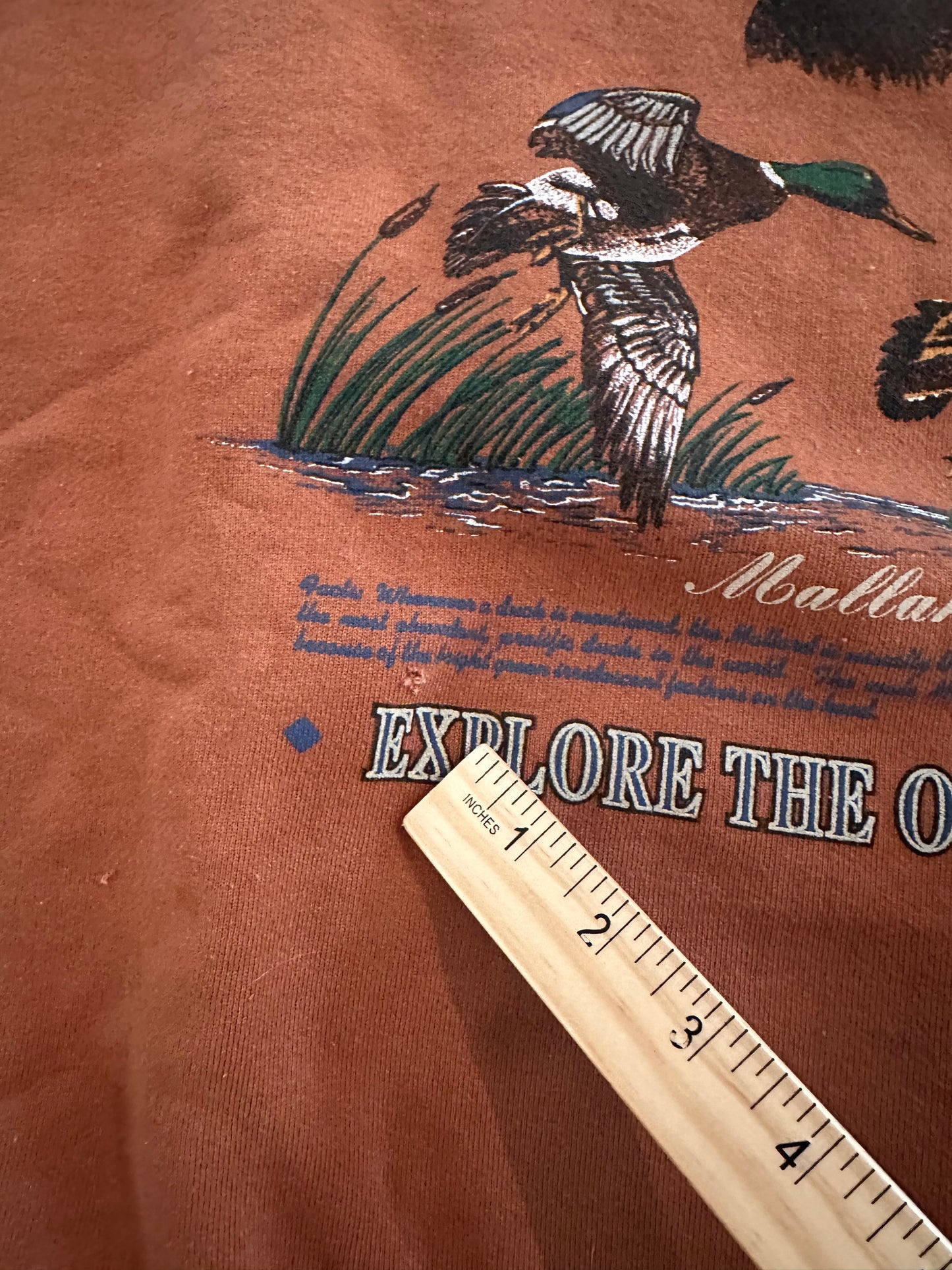 Vintage Field & Stream Crewneck (L) Ducks - Burnt Orange Lightly distressed