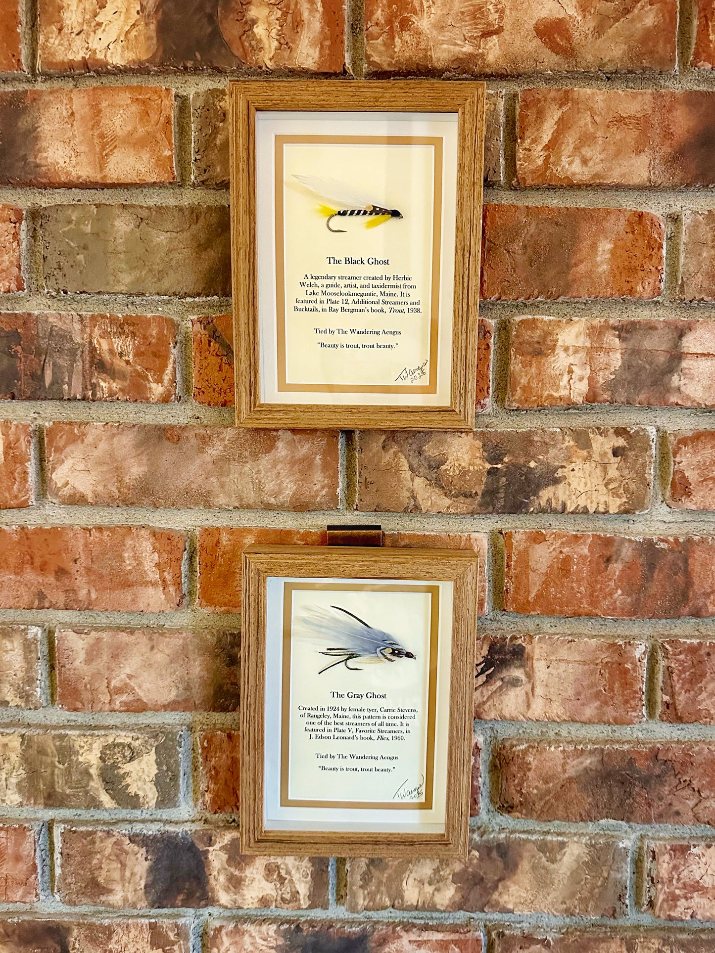 Hand Crafted Streamer Shadow Box Pair - The Gray Ghost & Black Ghost