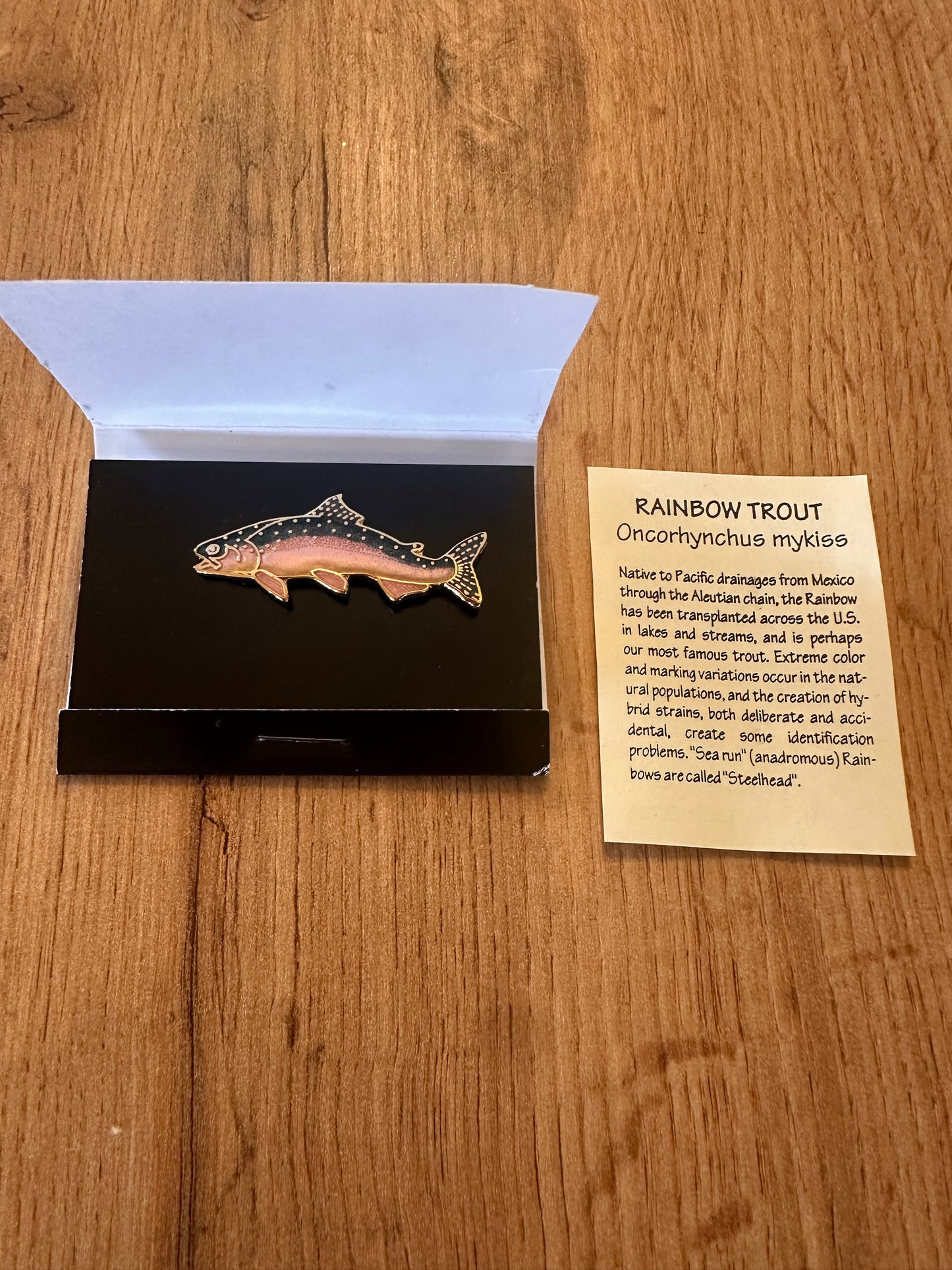 Vintage WM Spear Rainbow Trout Pin