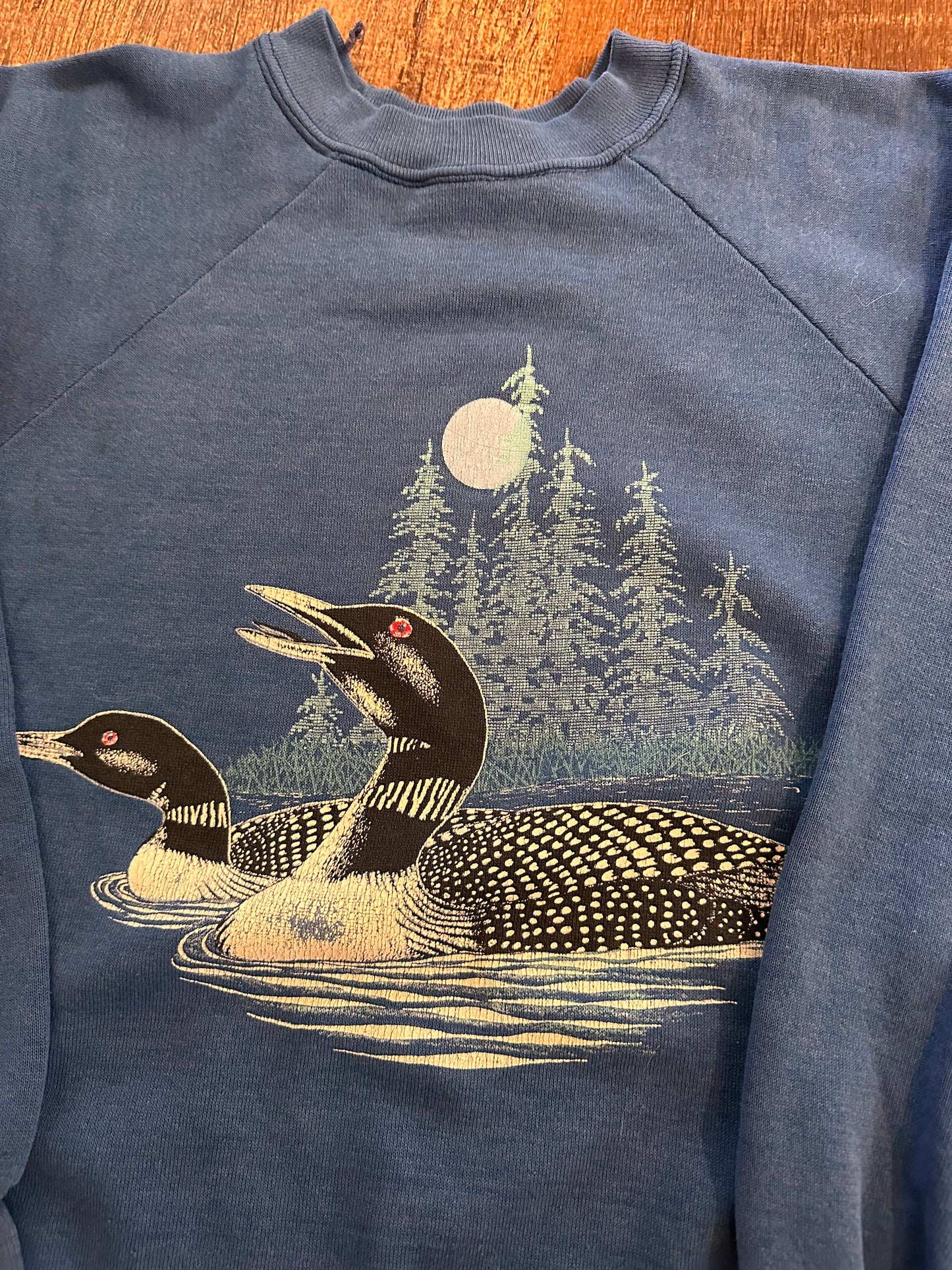 VTG Signal Crewneck (XL) Loon Scene