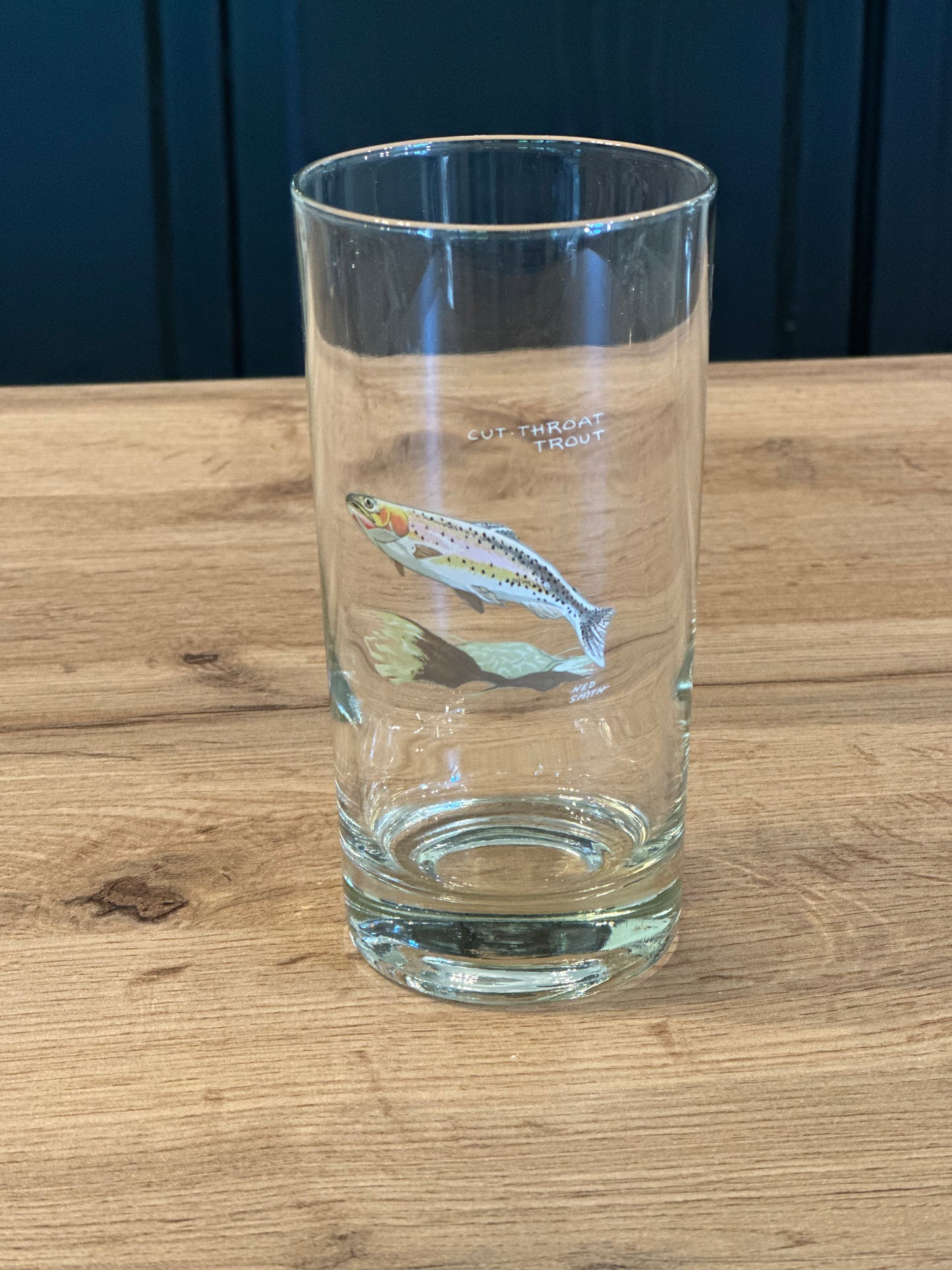 Vintage Ned Smith Highball Glasses (Set of 6) Trout Fish Series