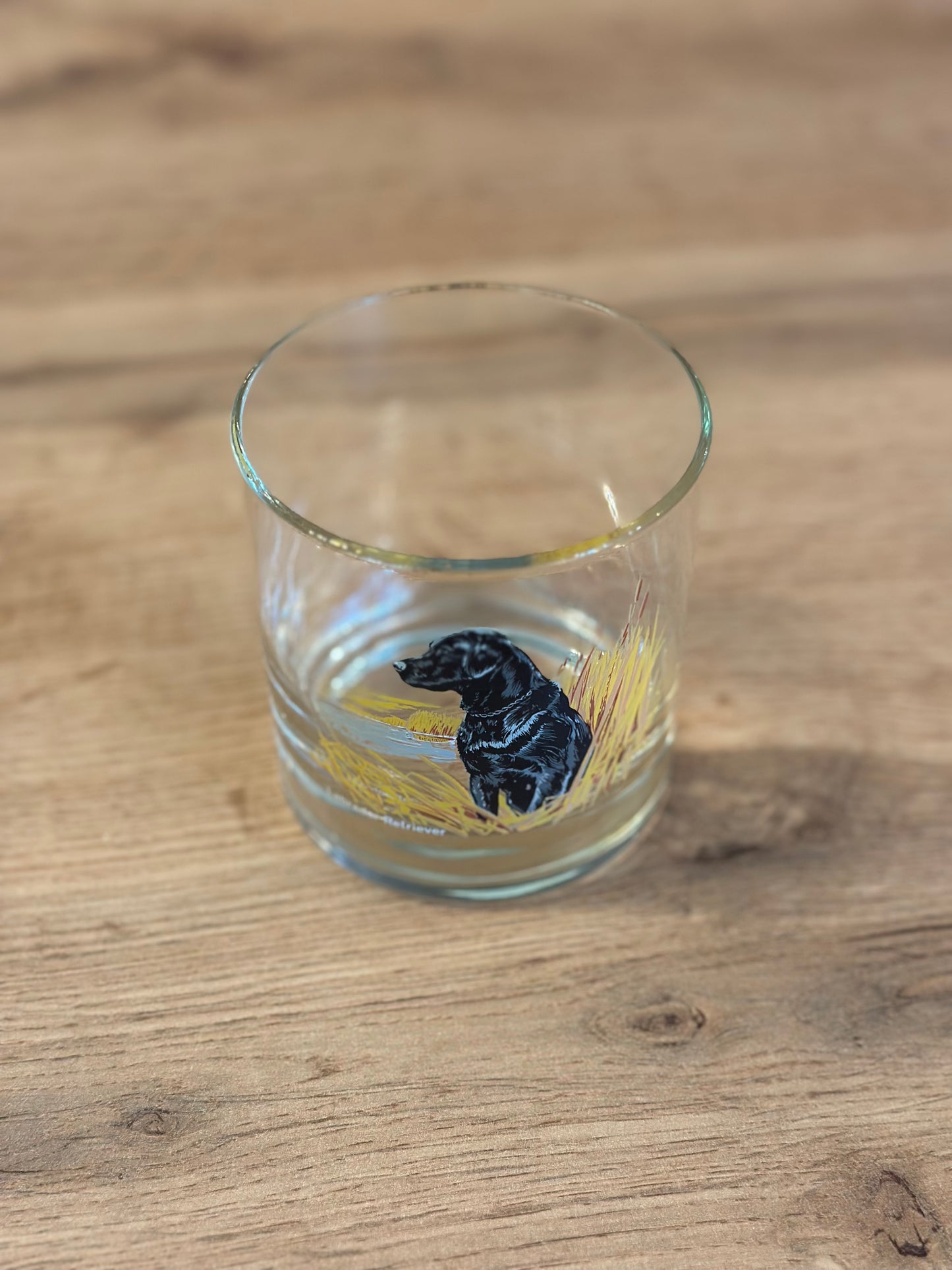 Vintage Bird Dog Whiskey Glasses