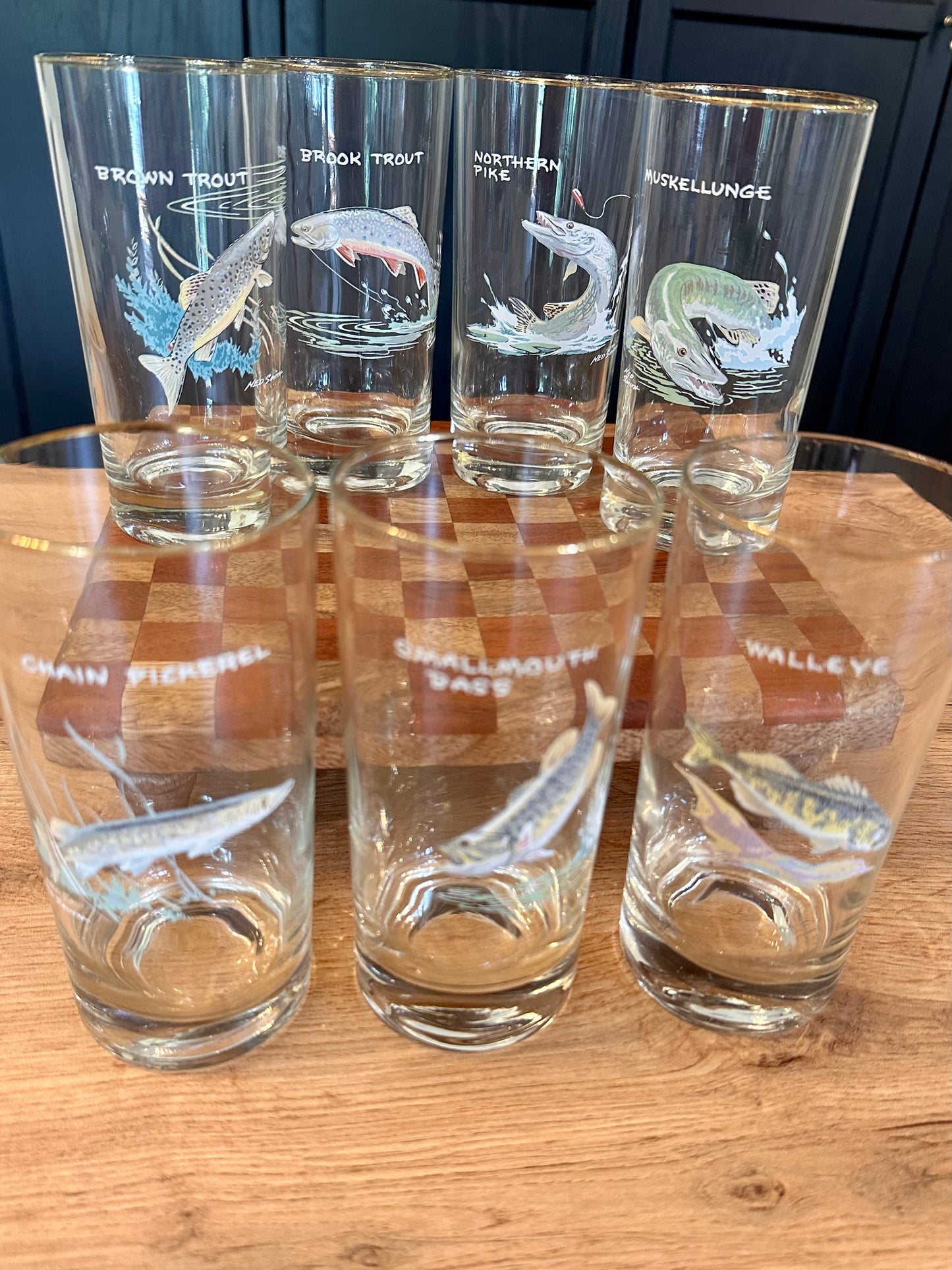 Vintage 1970s Orvis Ned Smith Highball Tumblers Game Fish (set of 7)