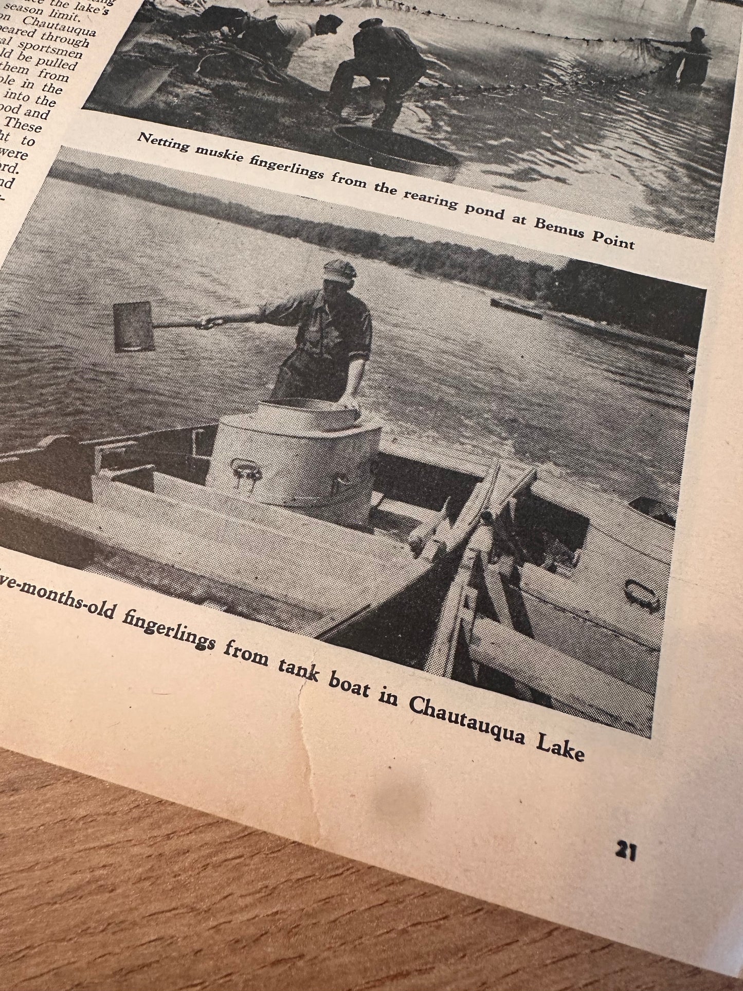 April 1946 Field & Stream Magazine