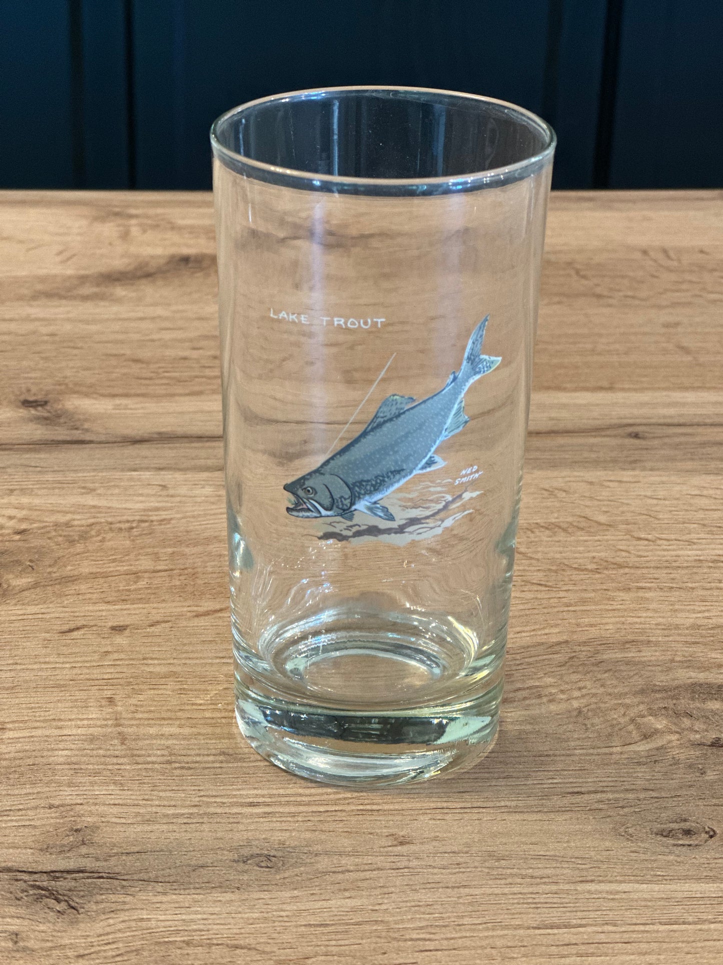 Vintage Ned Smith Highball Glasses (Set of 6) Trout Fish Series
