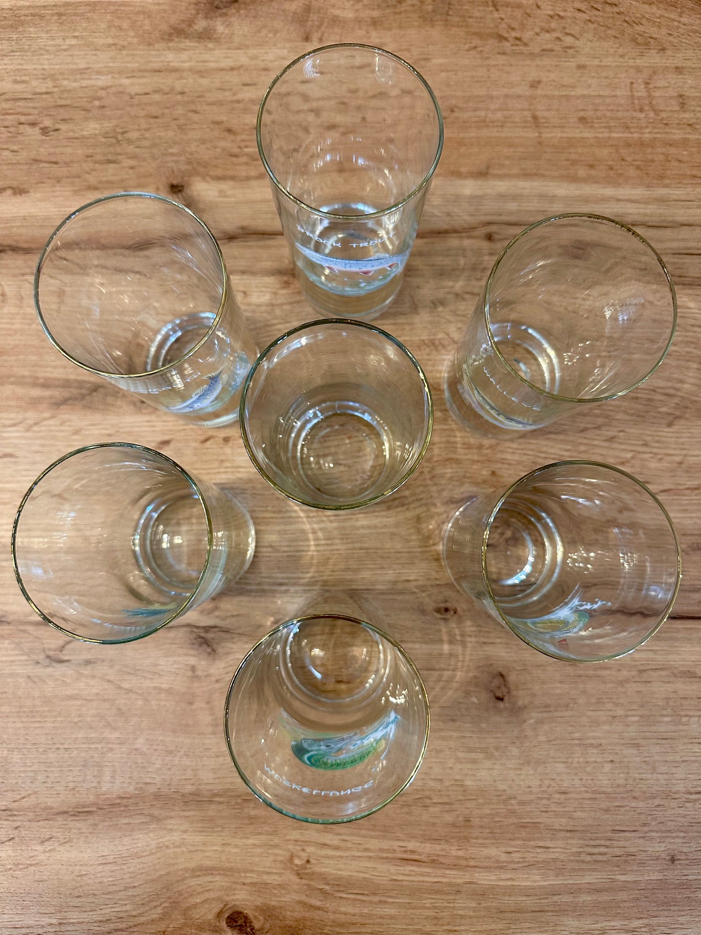 Vintage 1970s Orvis Ned Smith Highball Tumblers Game Fish (set of 7)